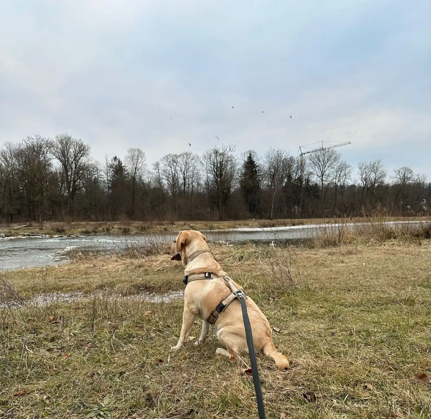 image-46