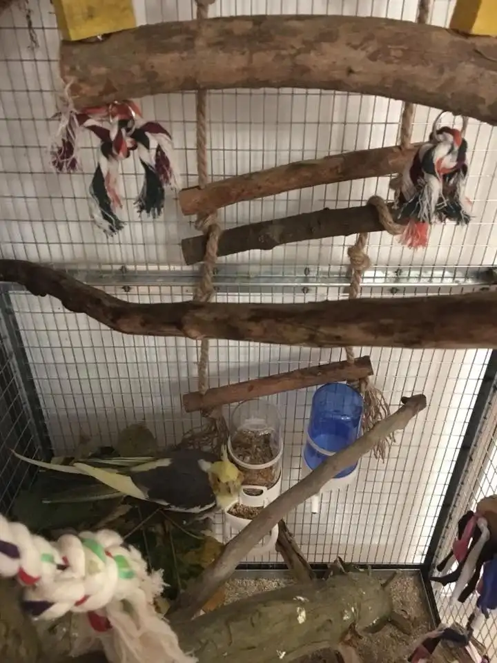 image-11