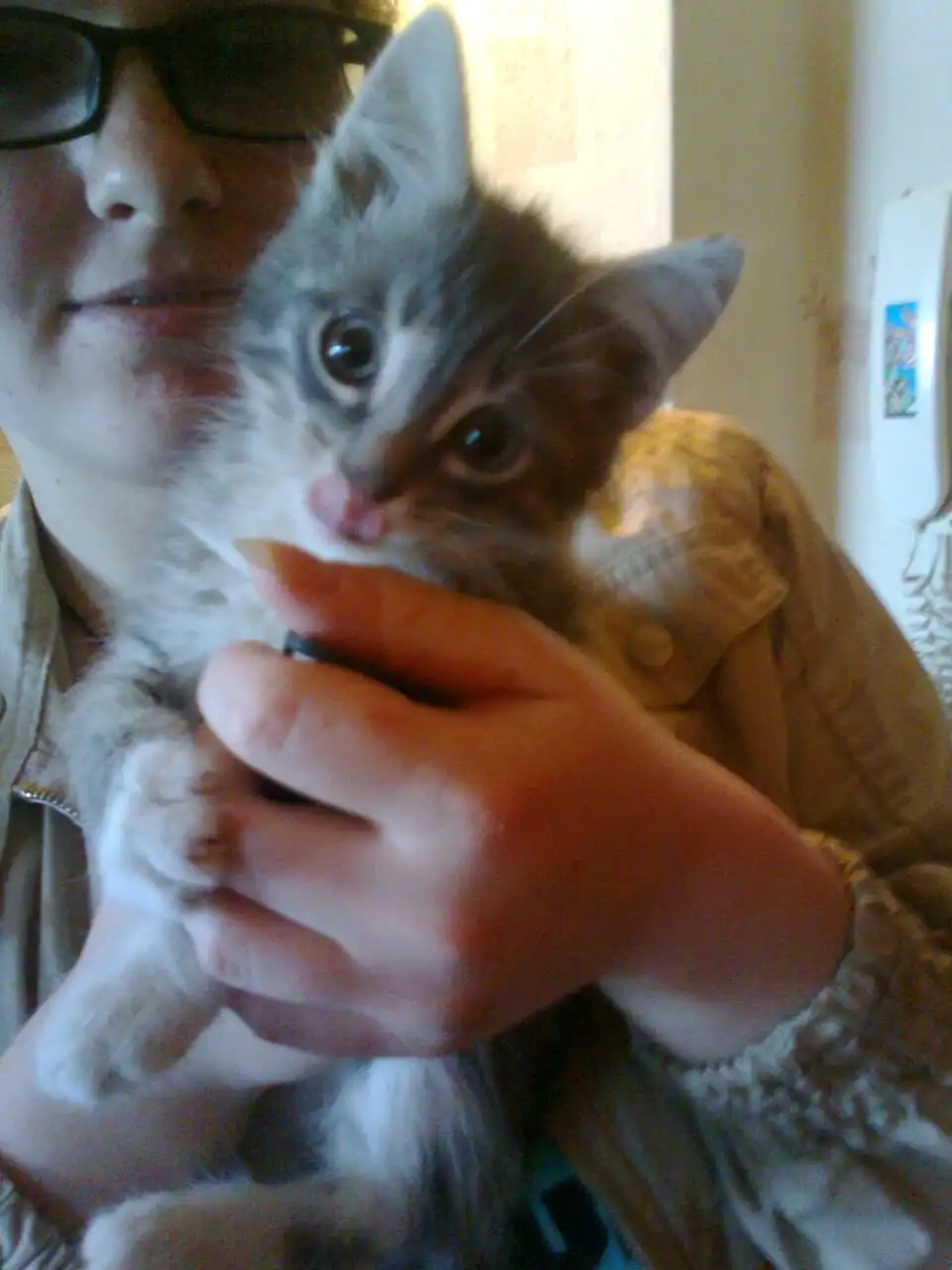 image-6
