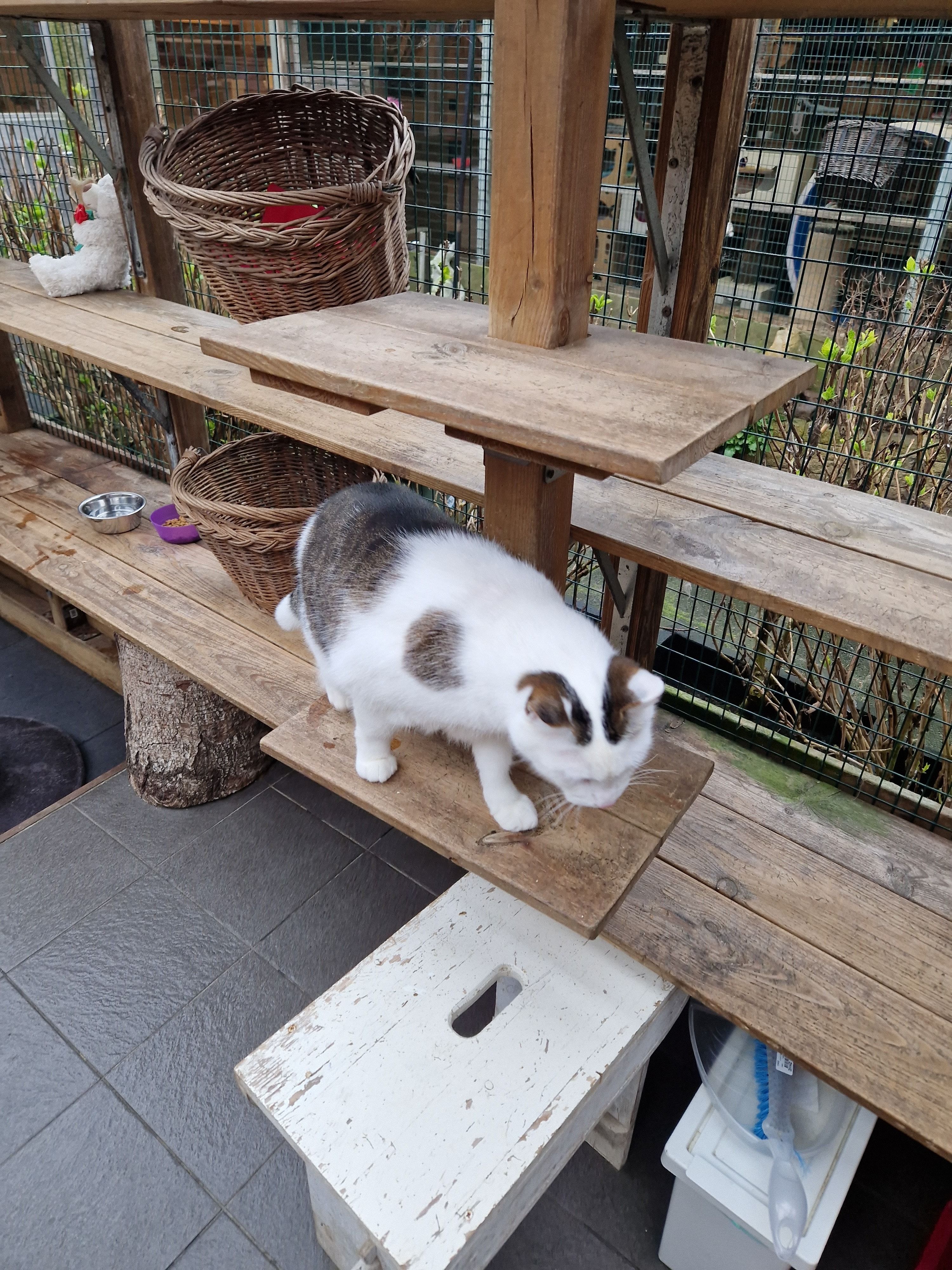 image-41