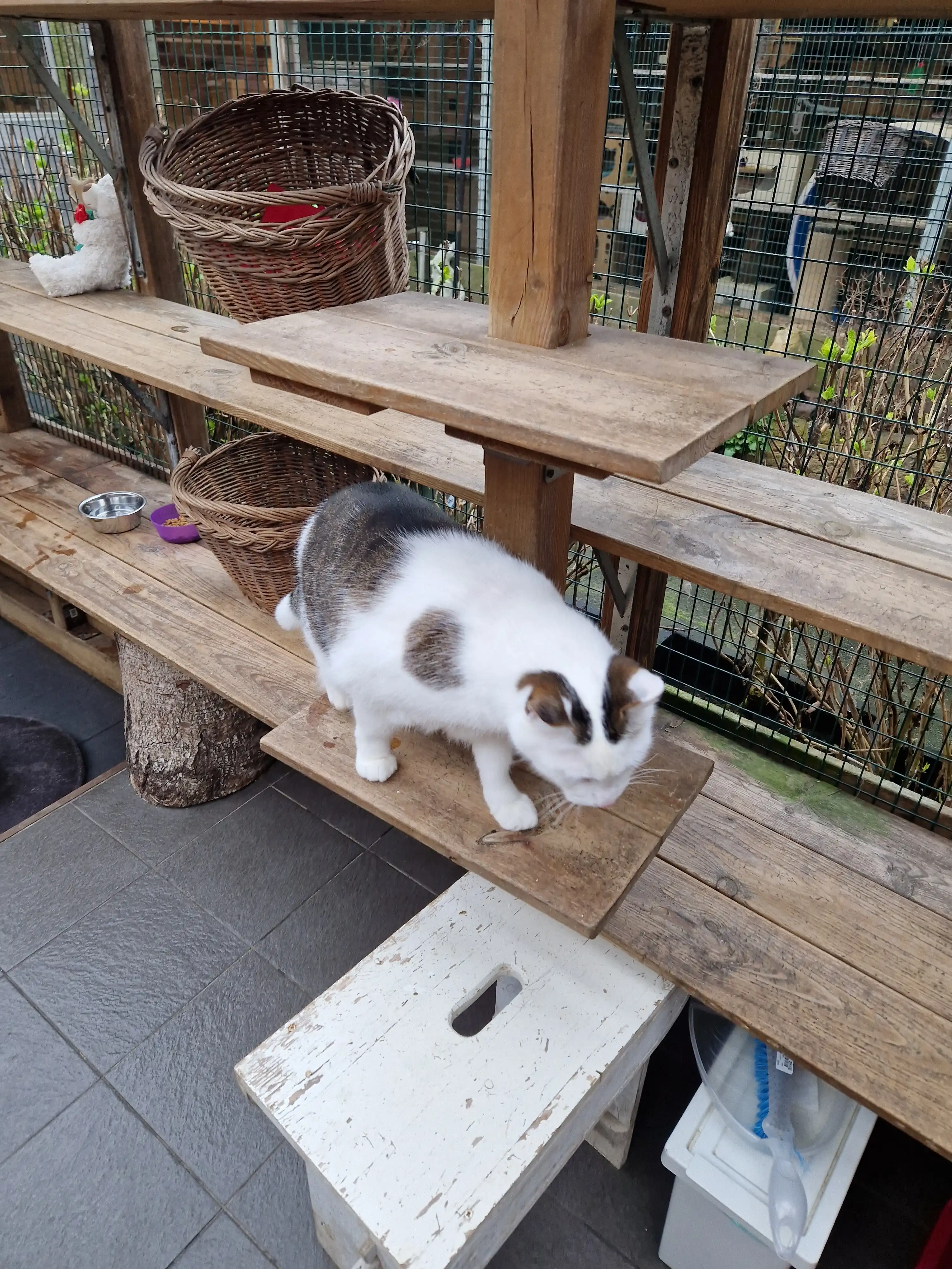 image-41