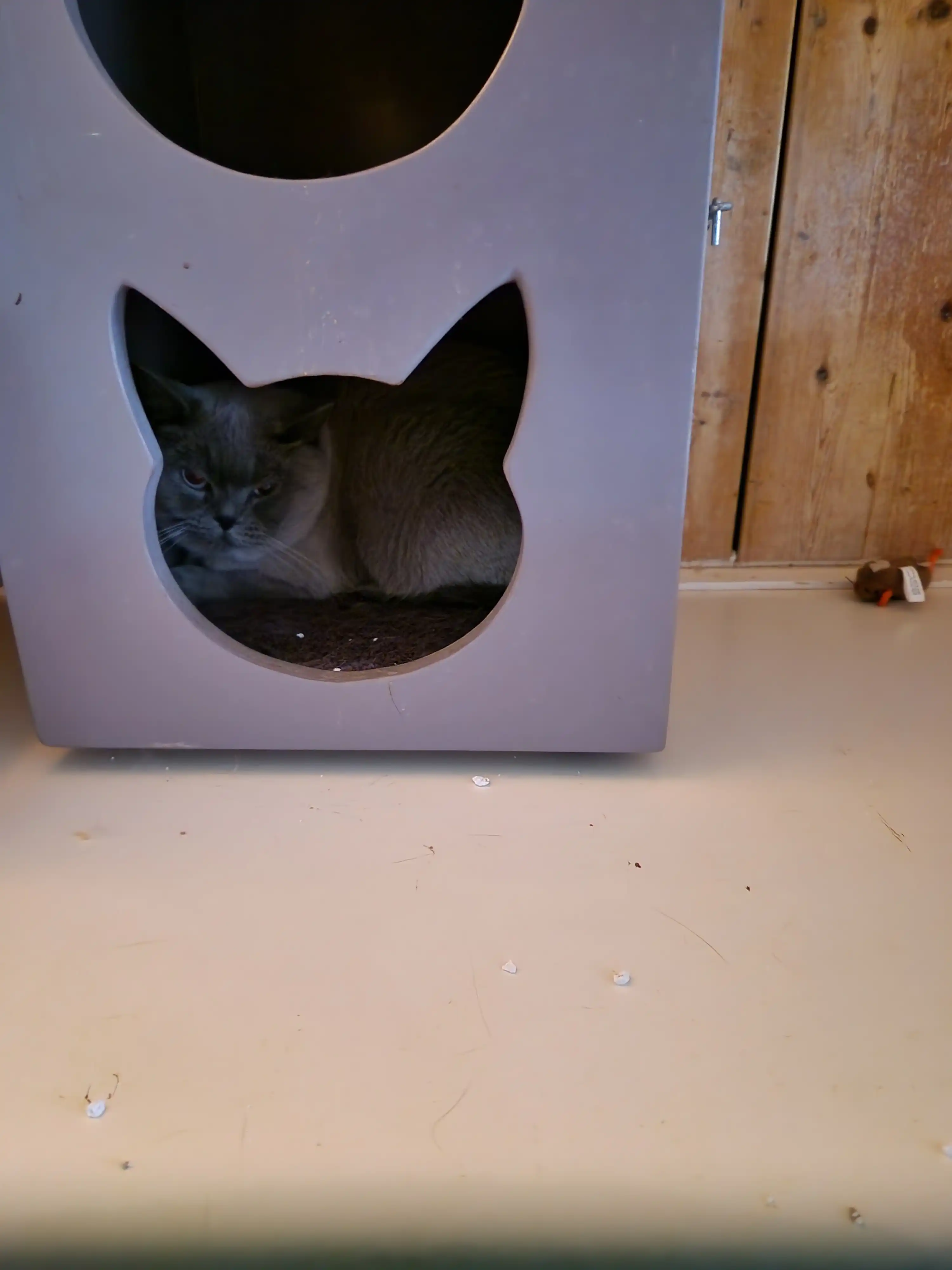 image-37