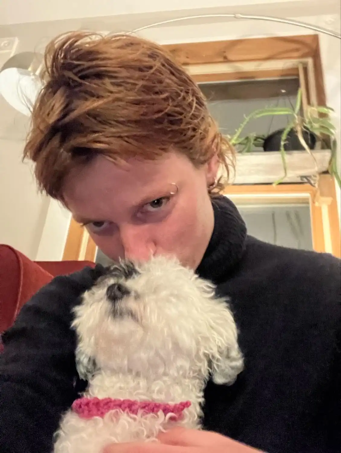 image-11