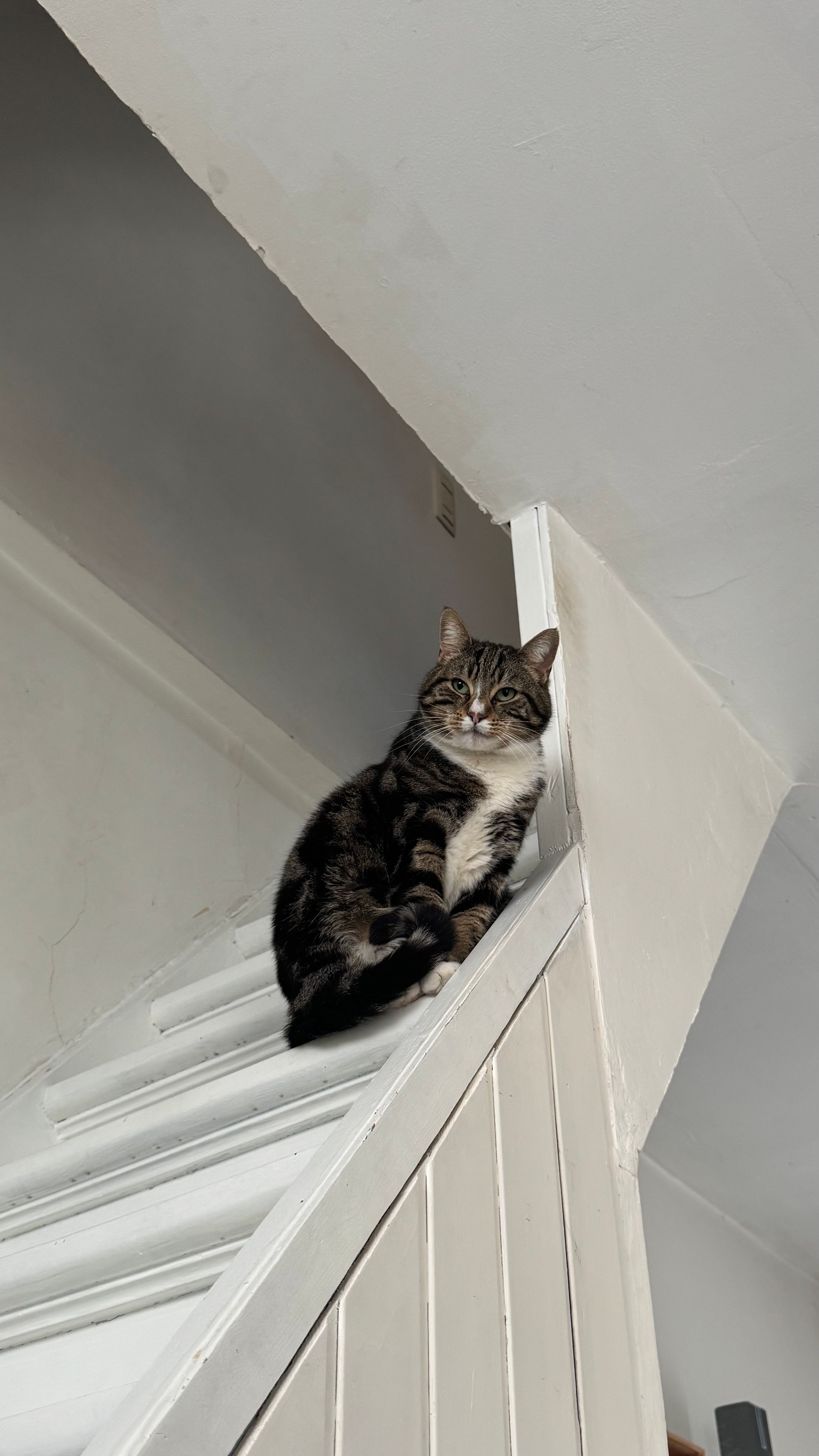 image-18