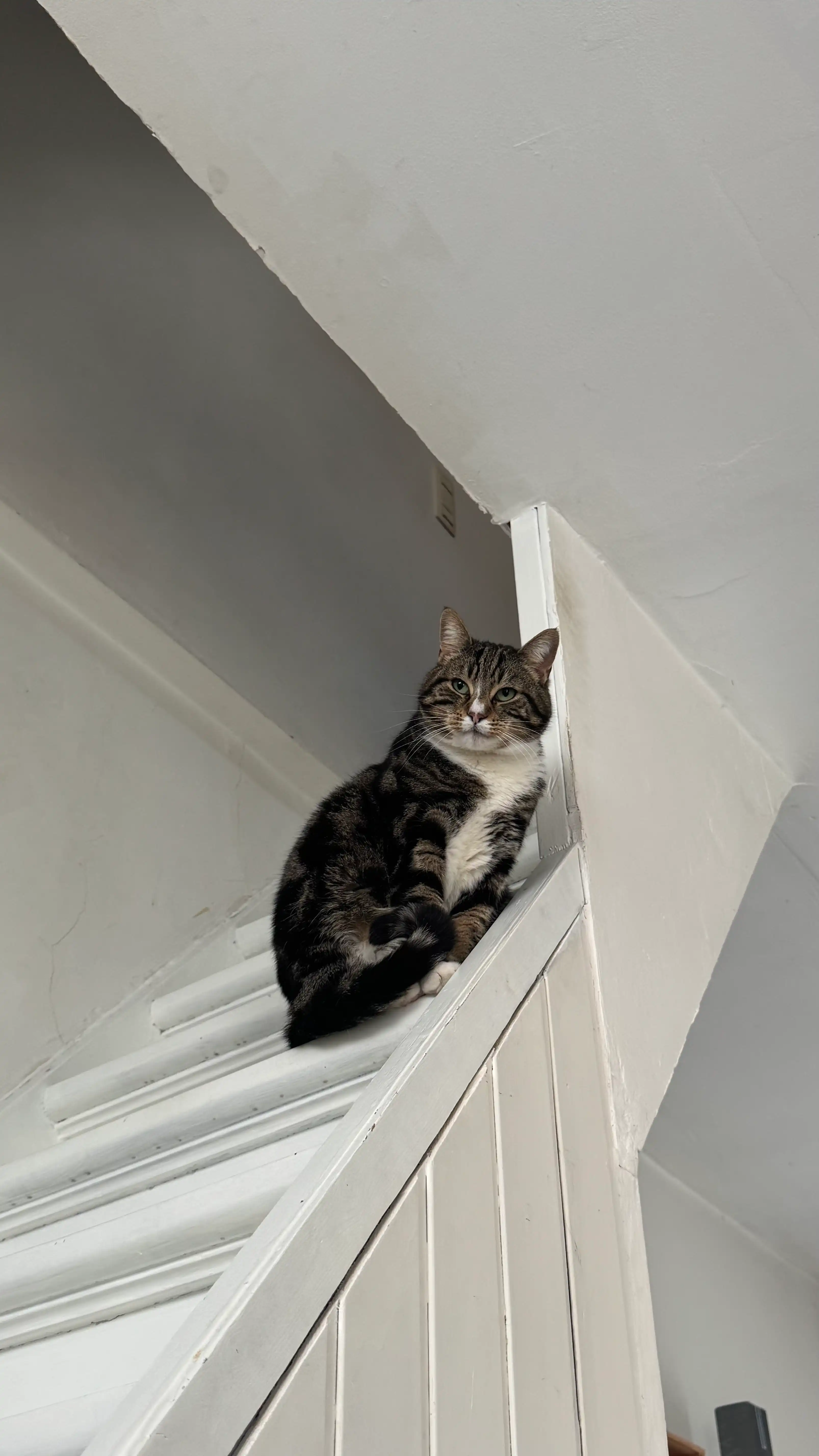 image-18