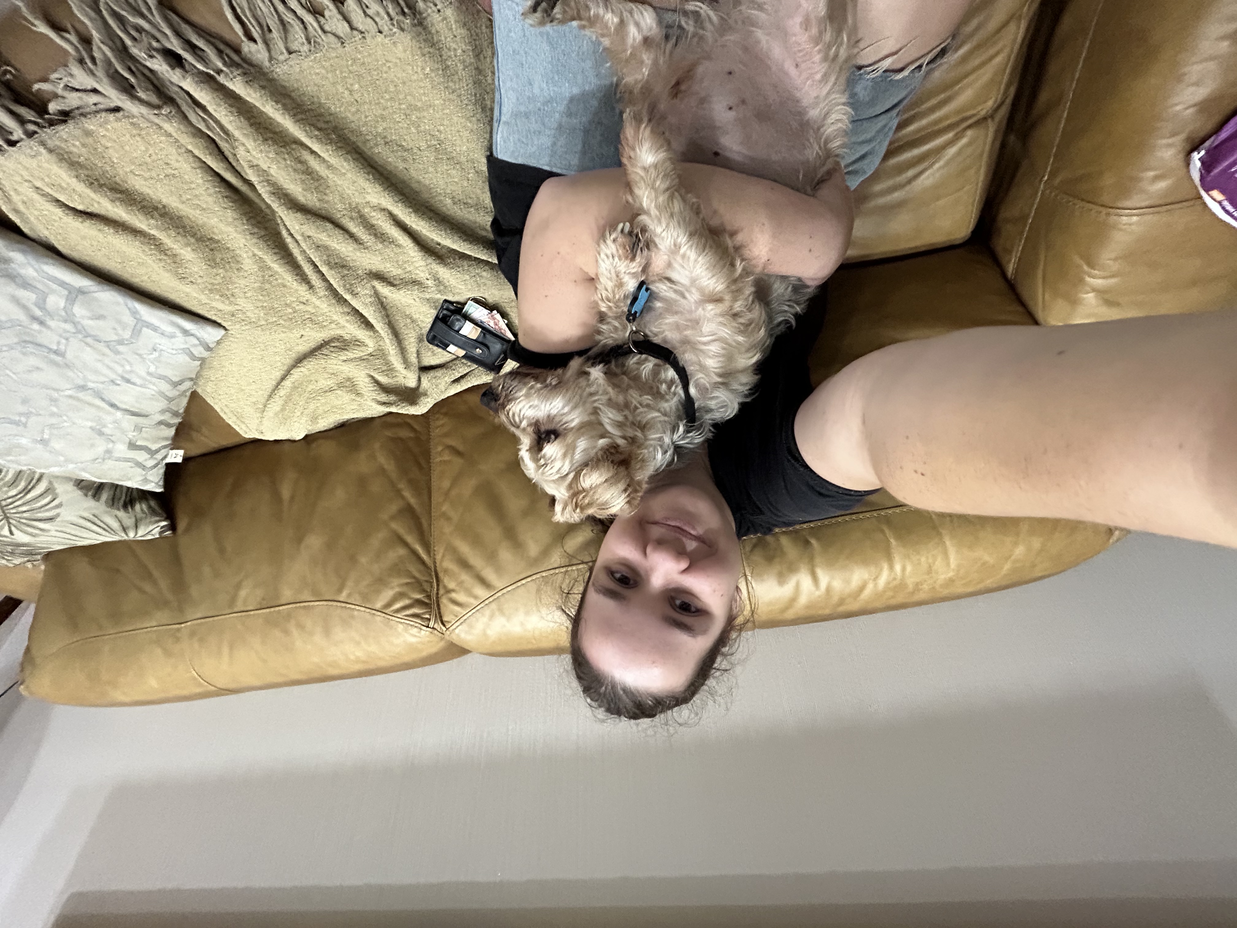 image-7