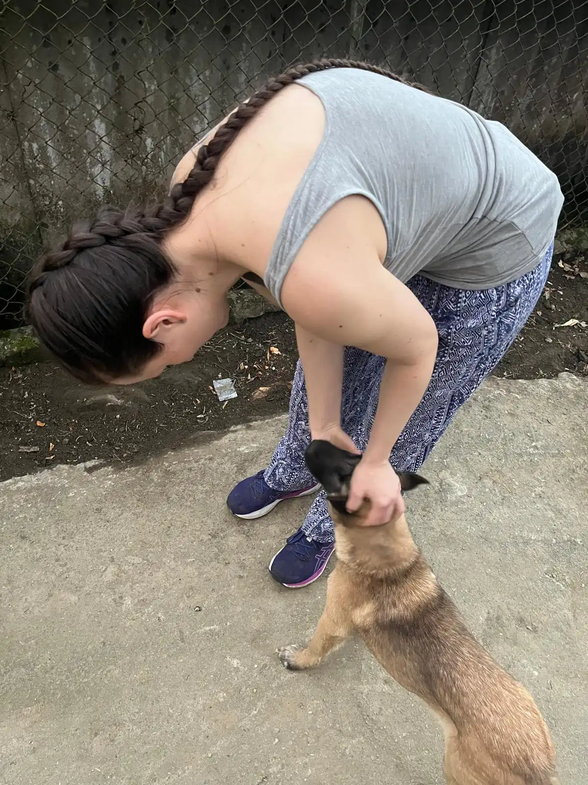 image-7