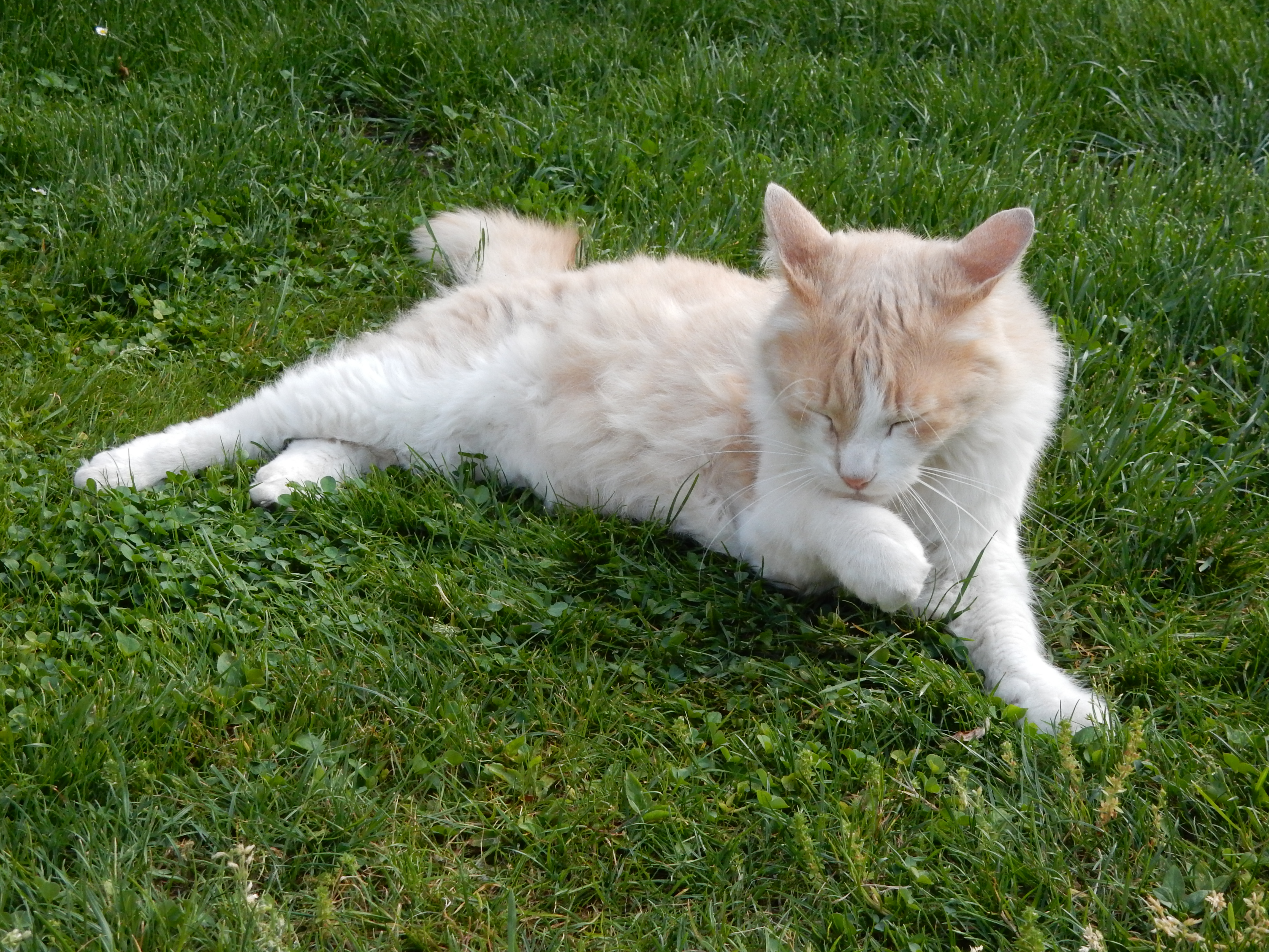image-5