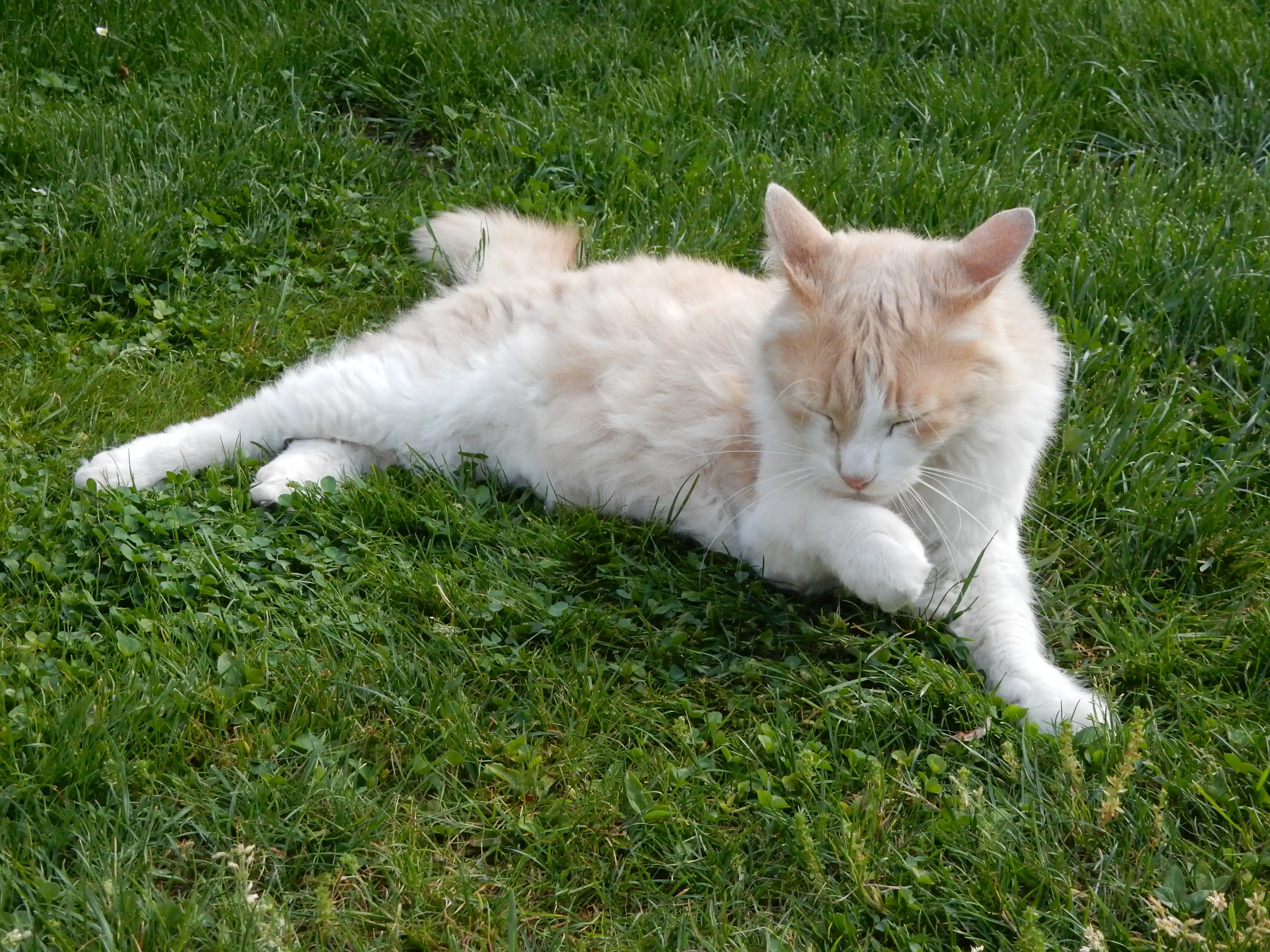image-5
