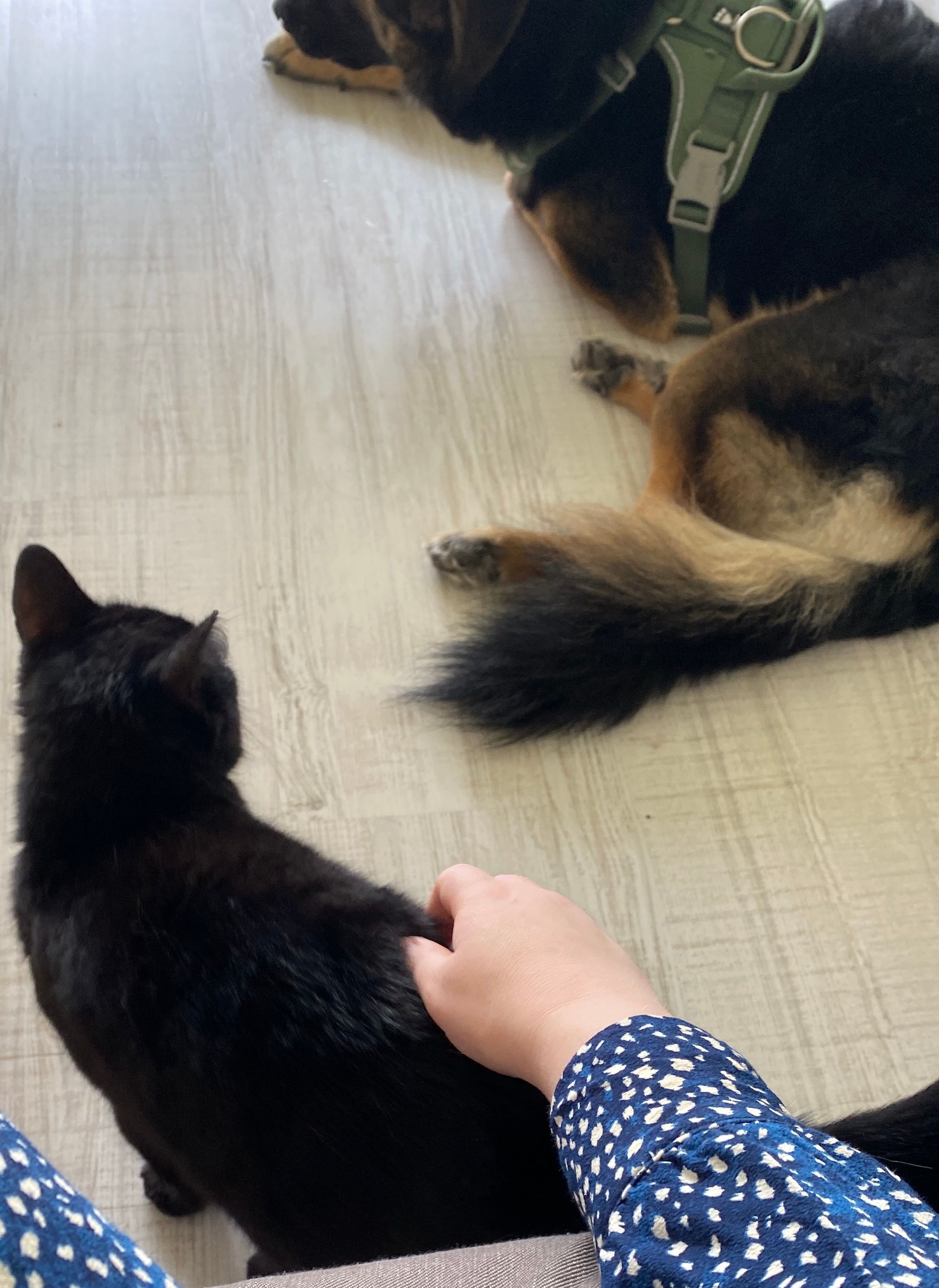 image-10