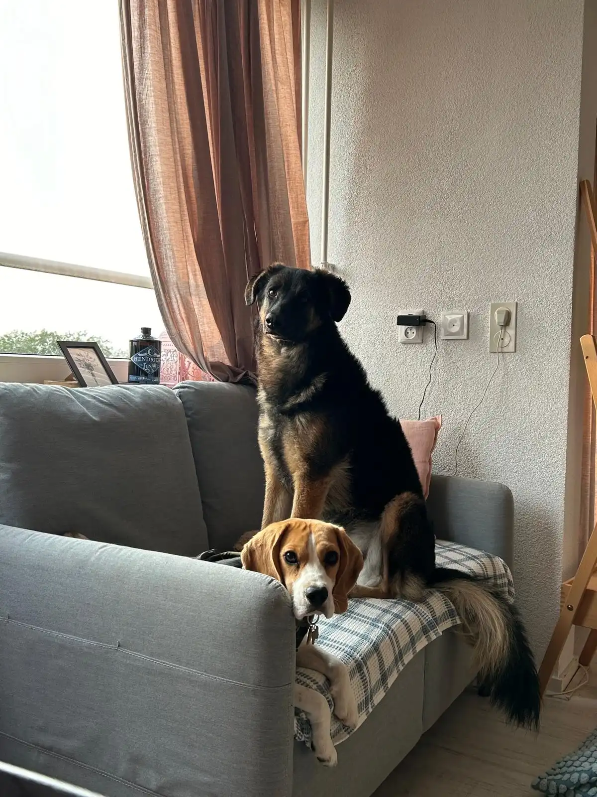 image-24