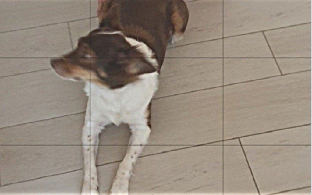 image-7