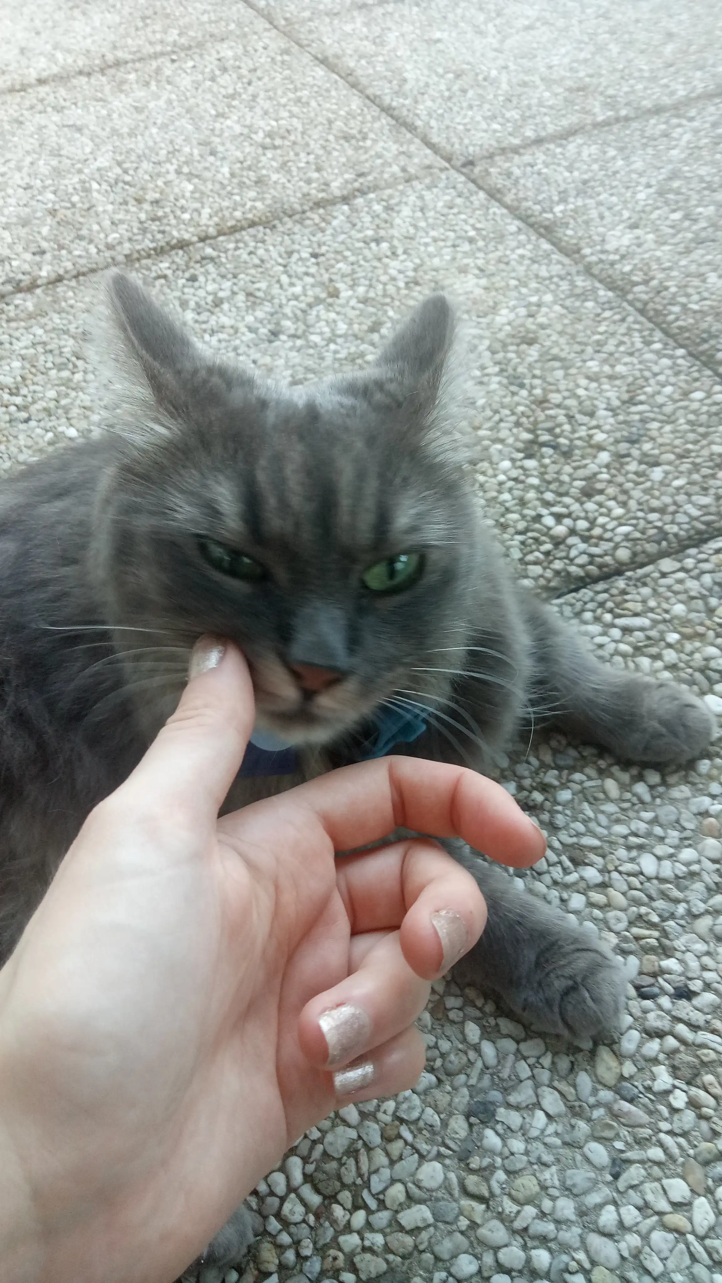 image-6