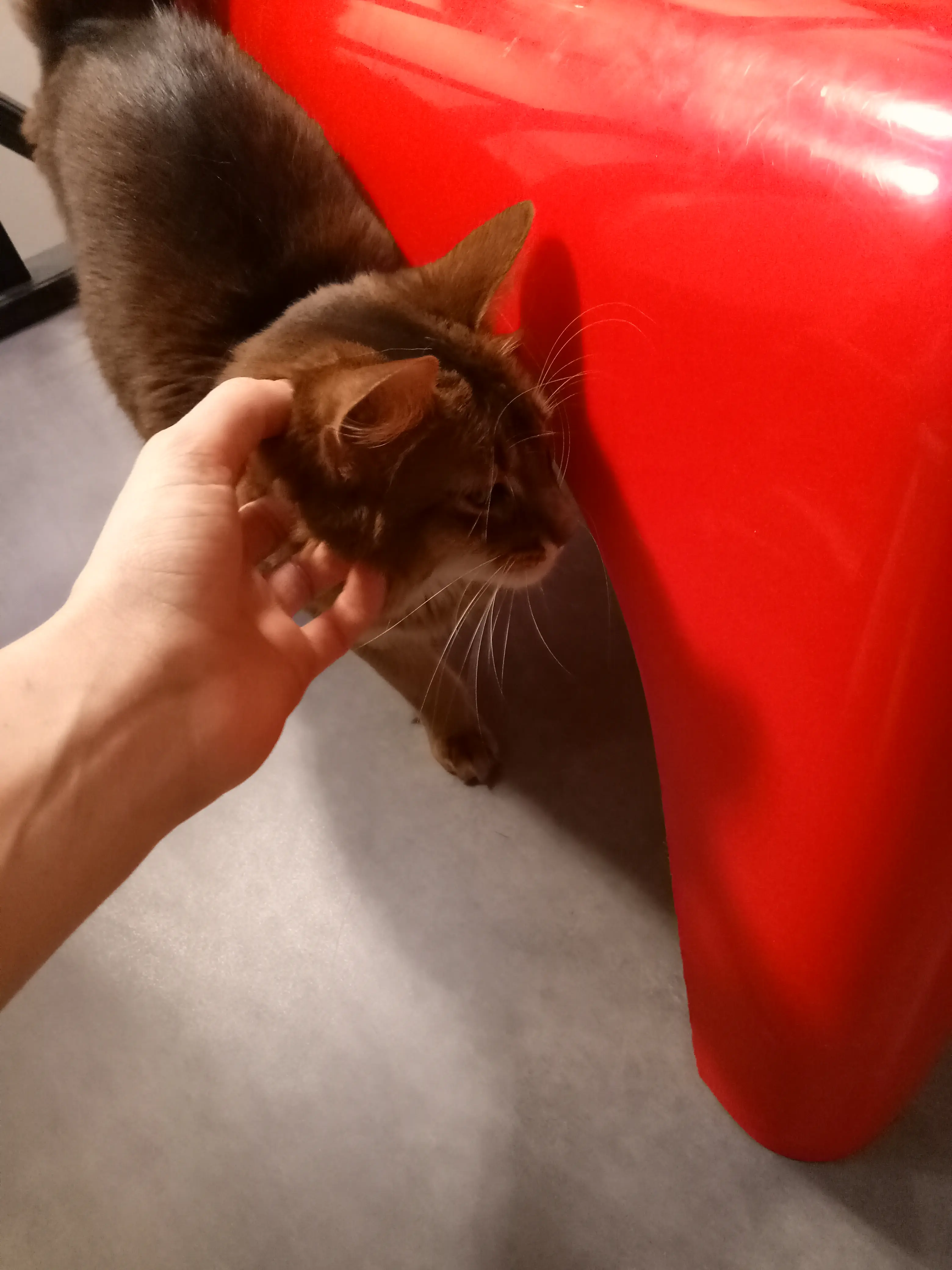 image-4