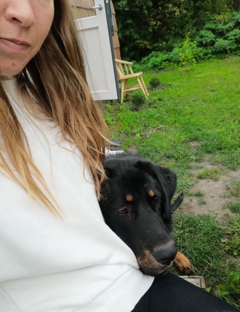 image-7