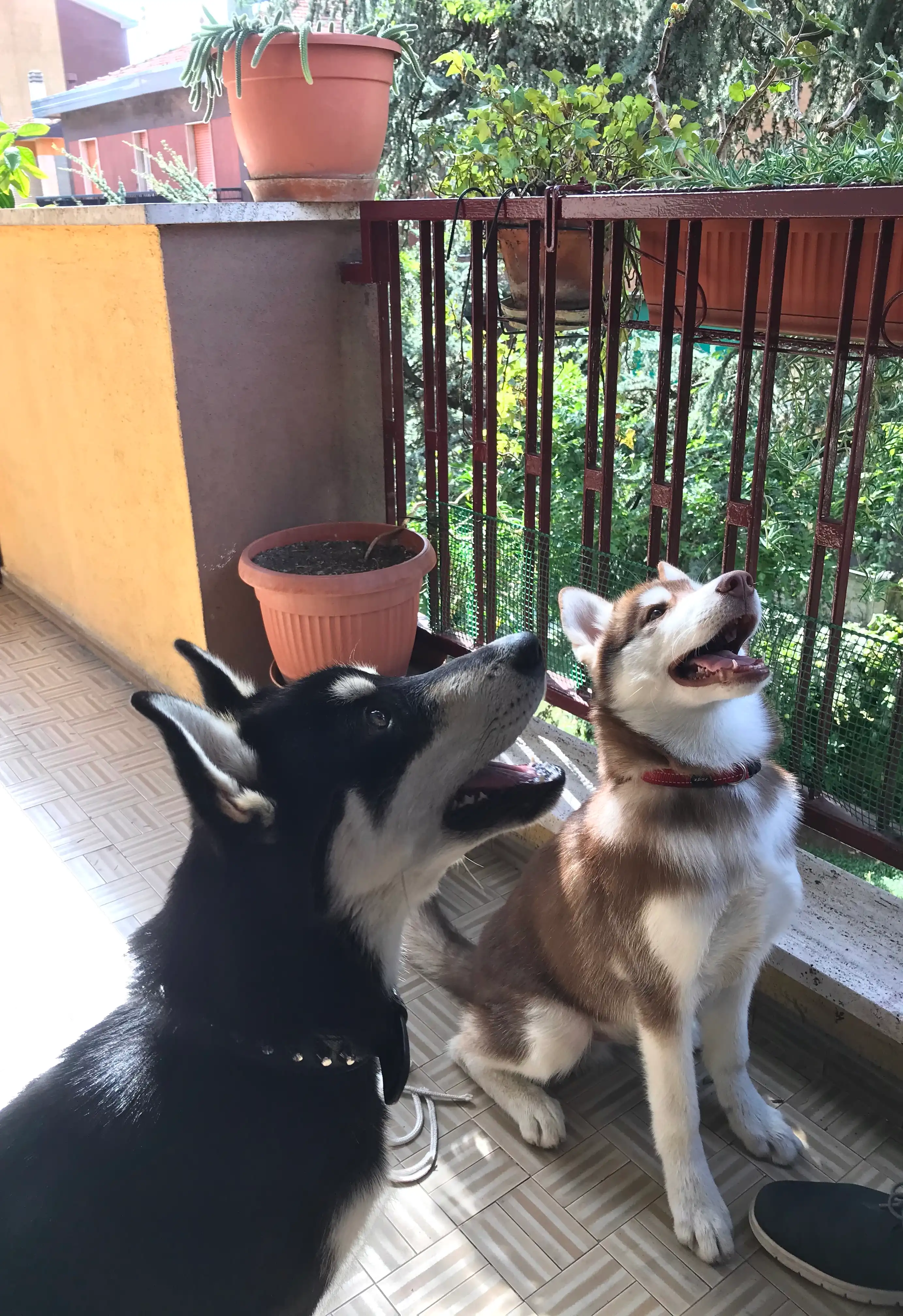 image-6