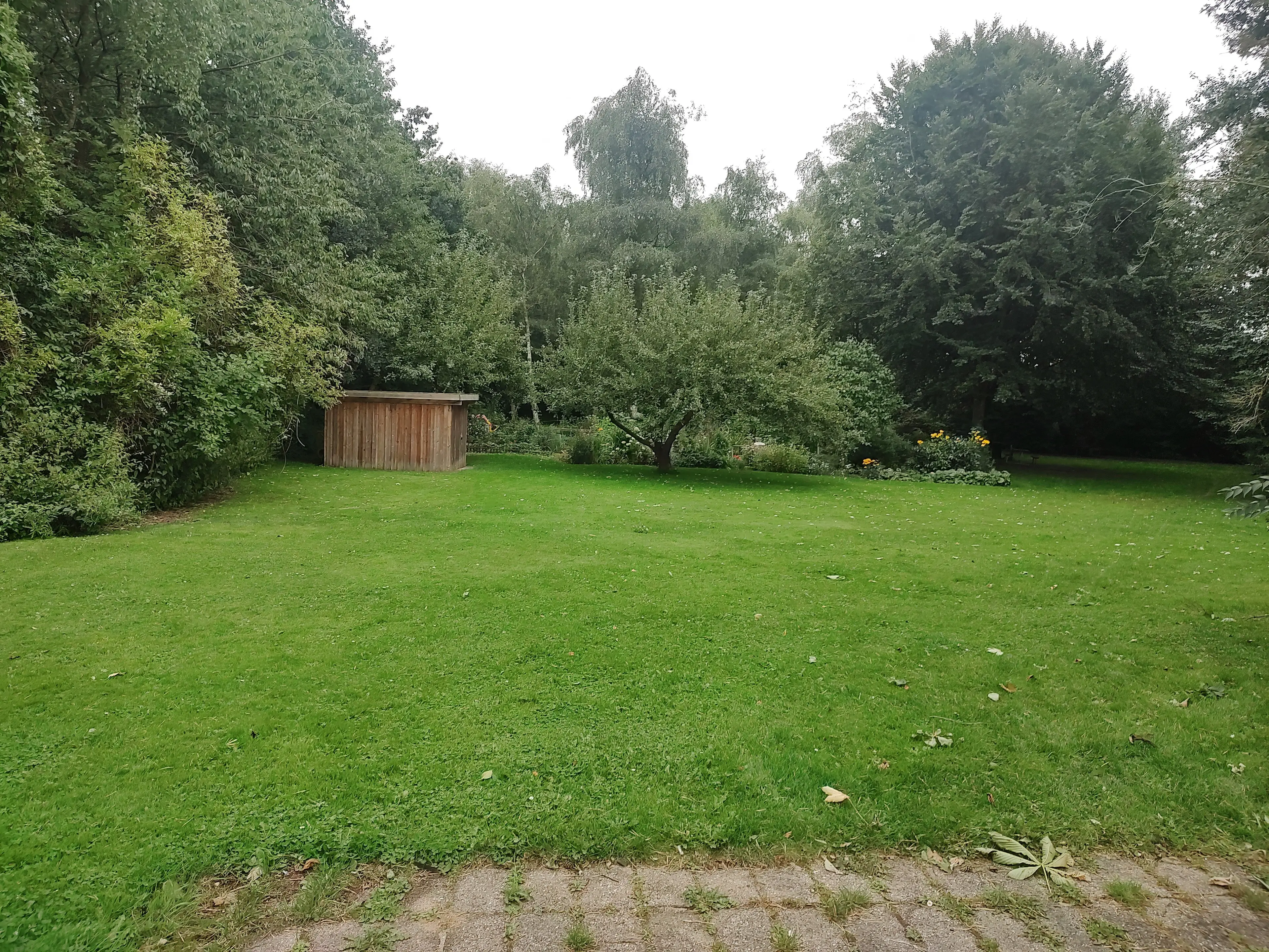 image-4