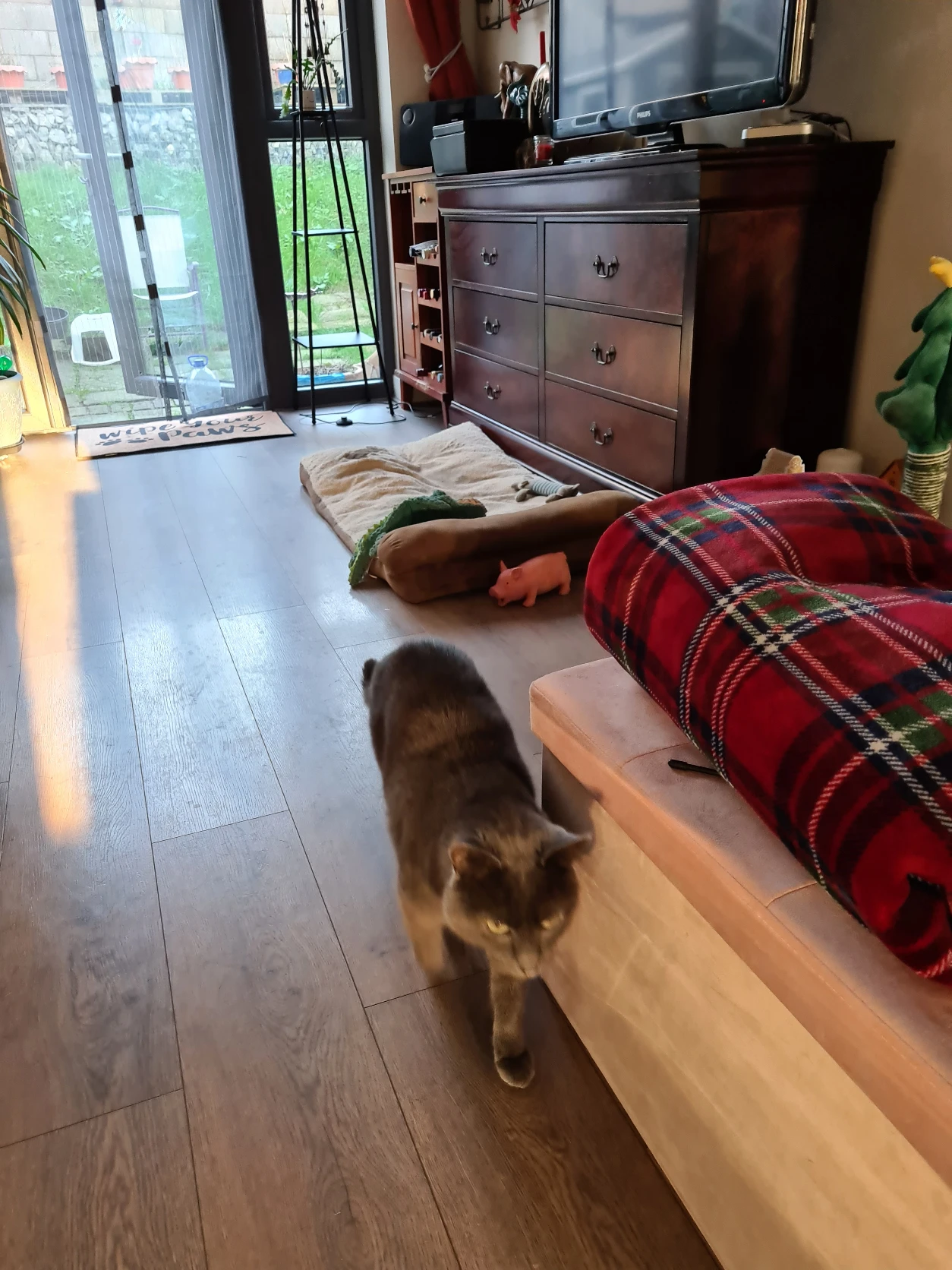 image-12