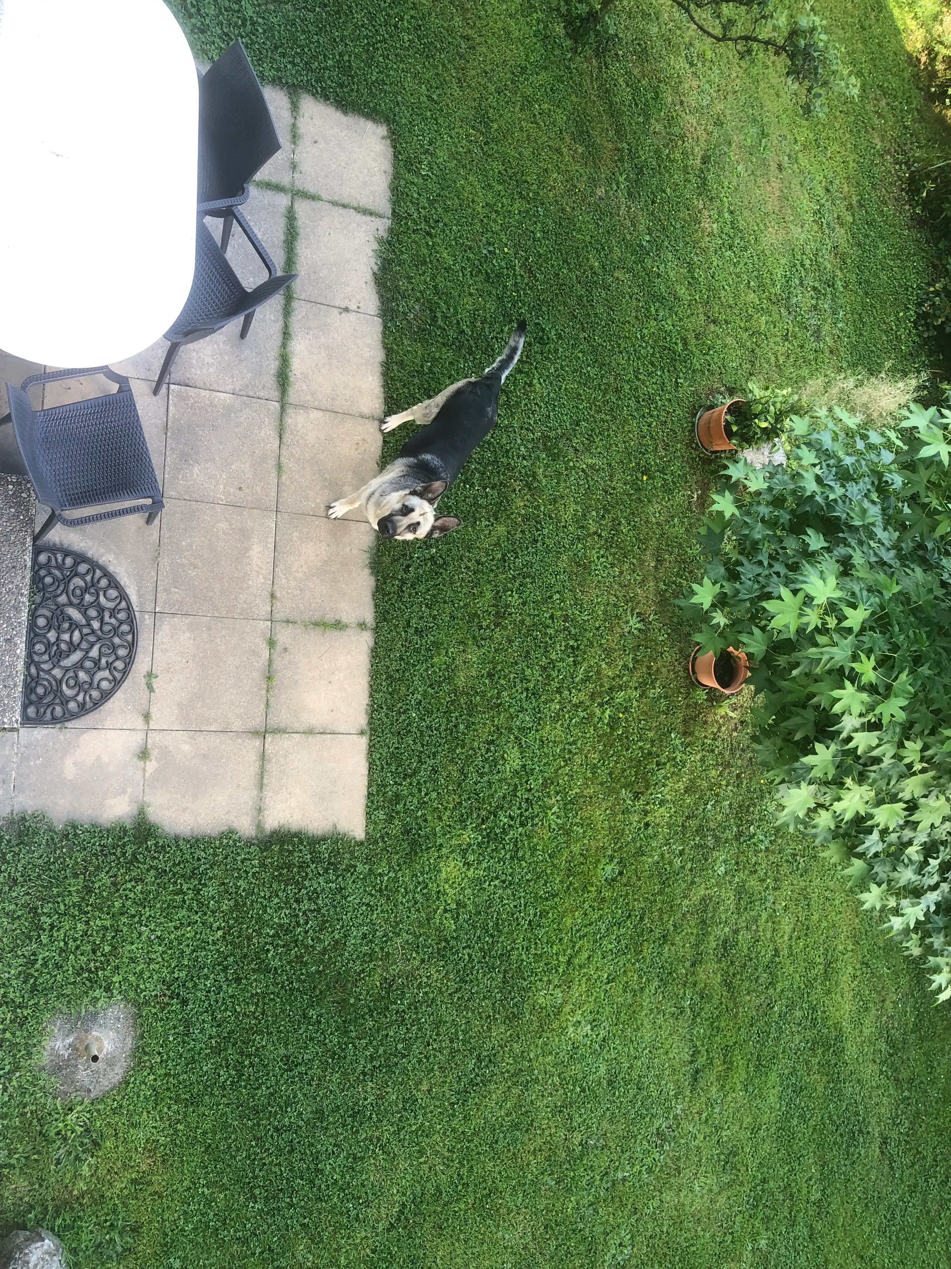image-7