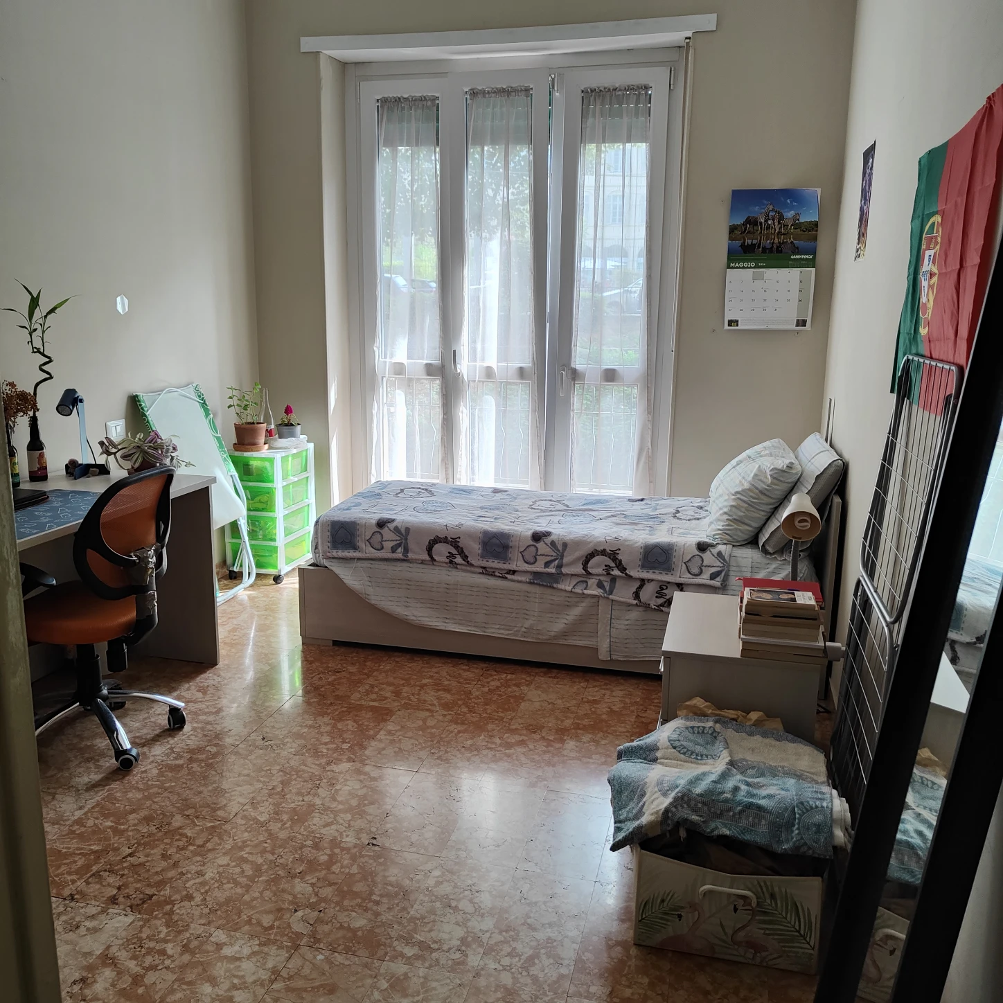 image-5