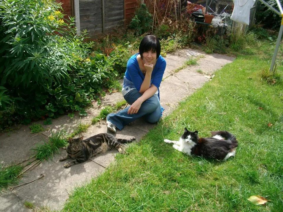 image-3