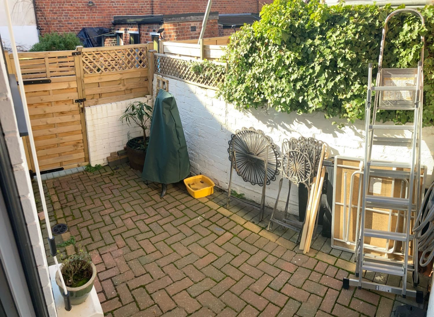 image-11