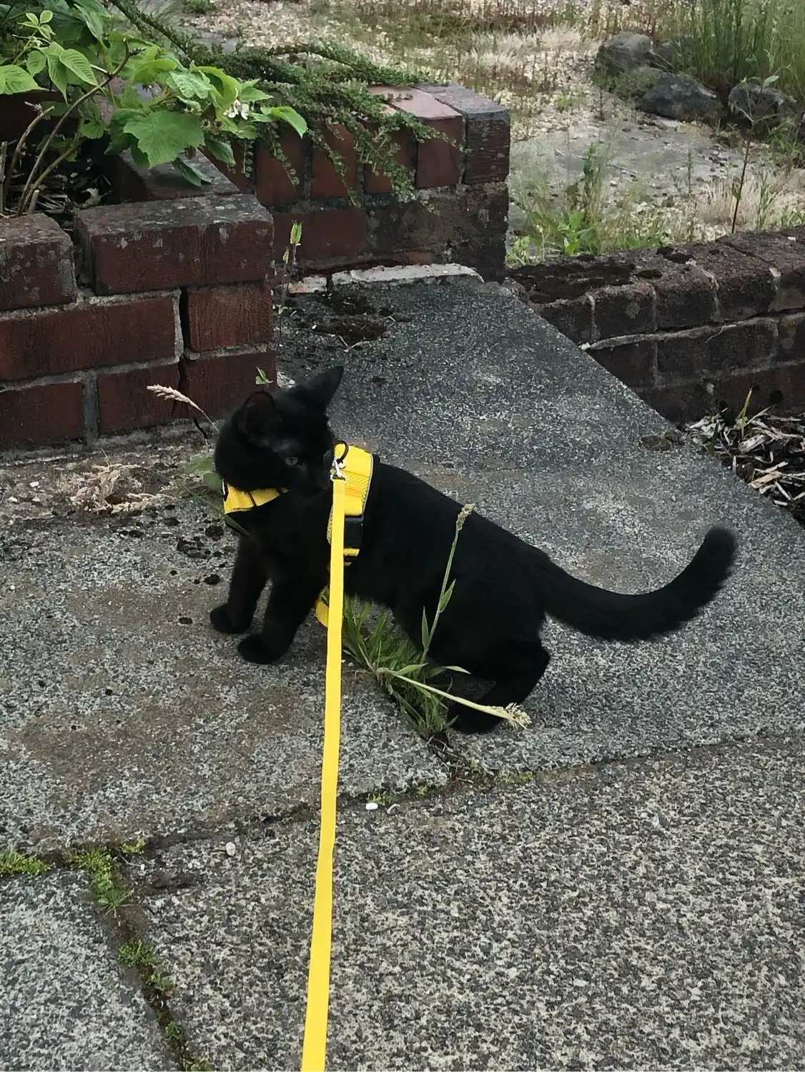 image-9