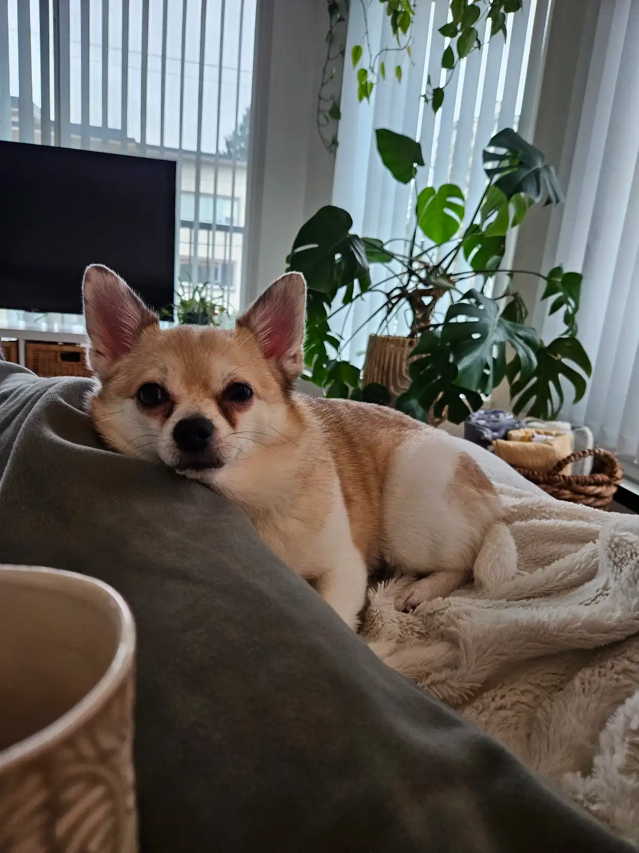 image-8
