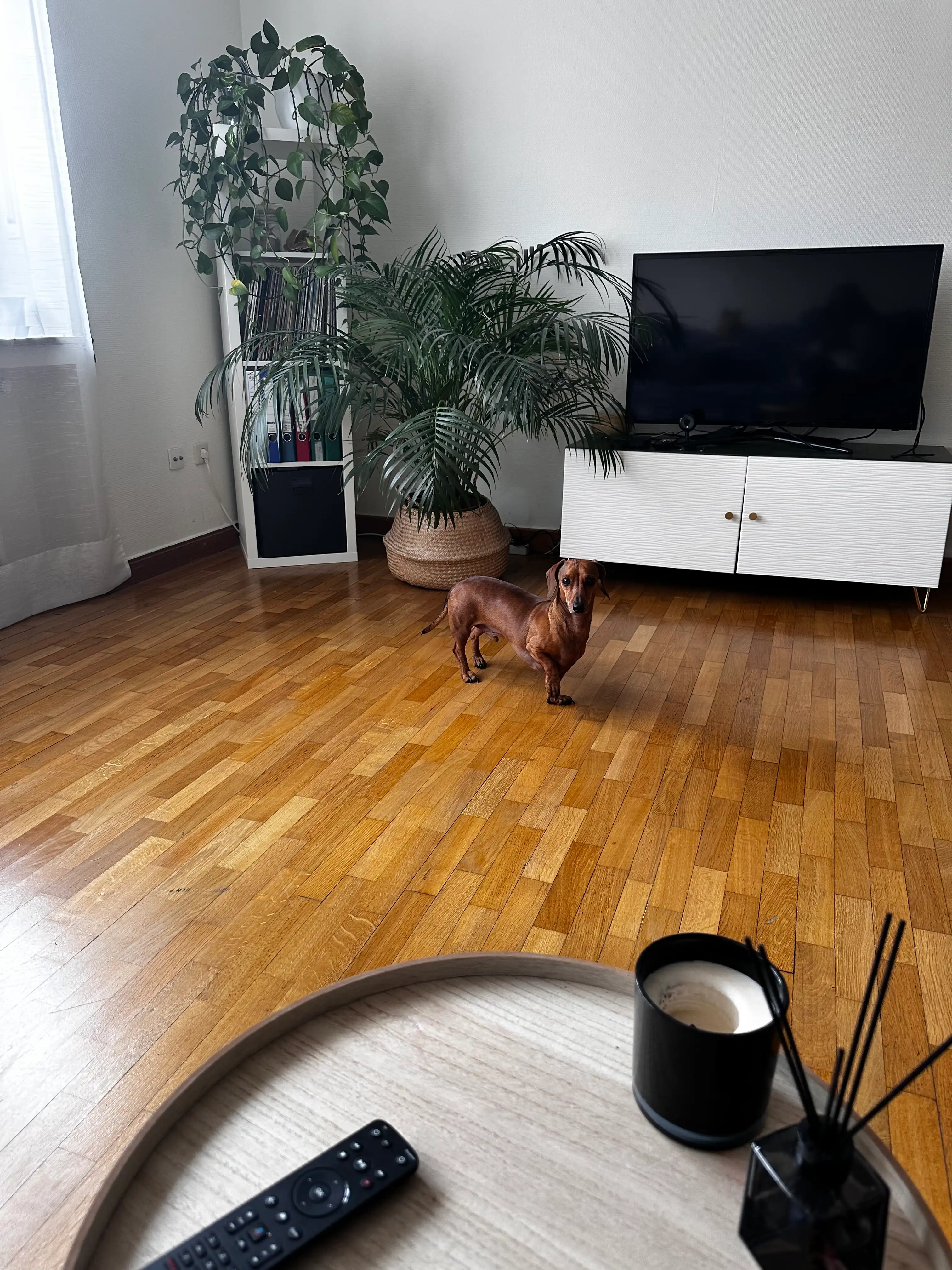 image-15