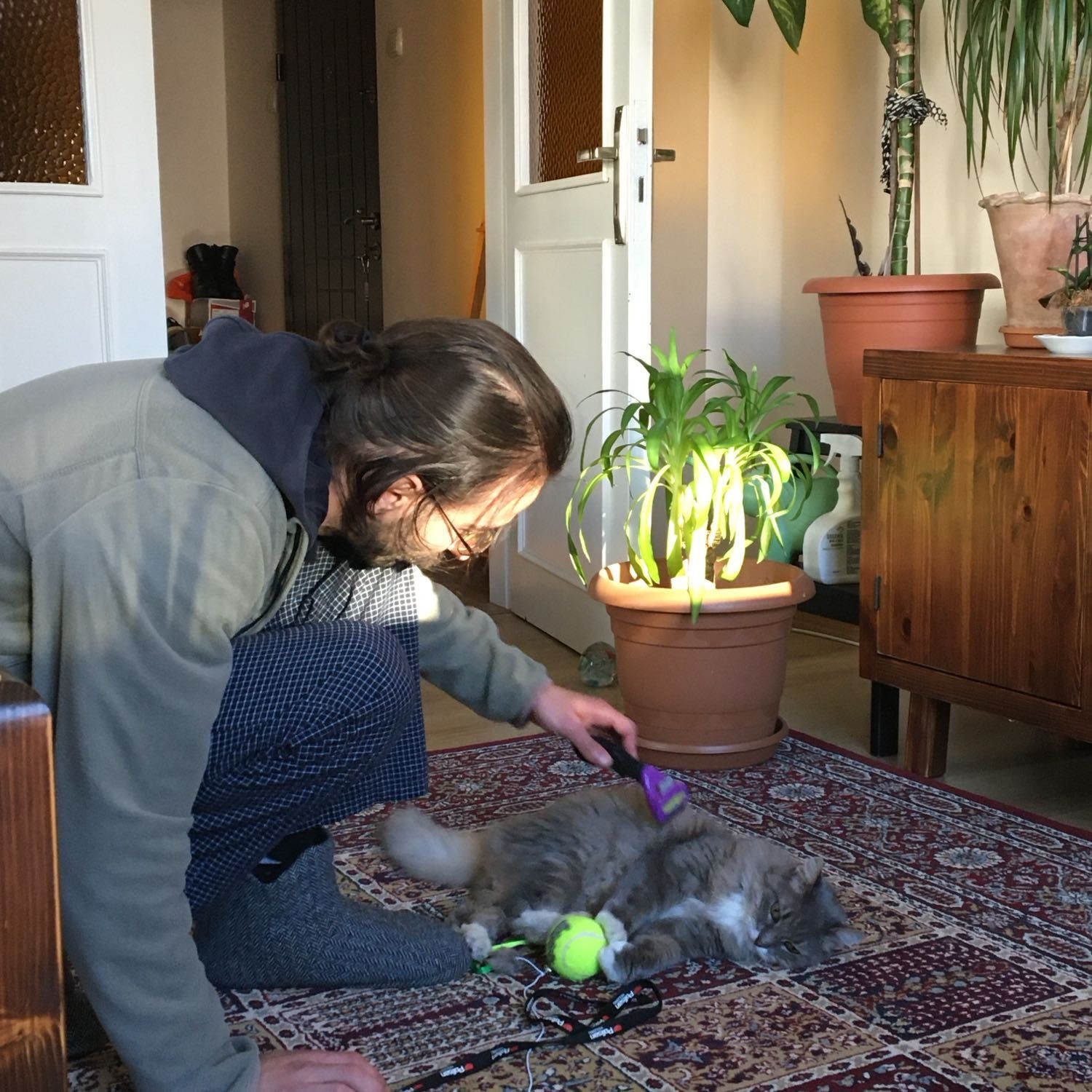 image-6