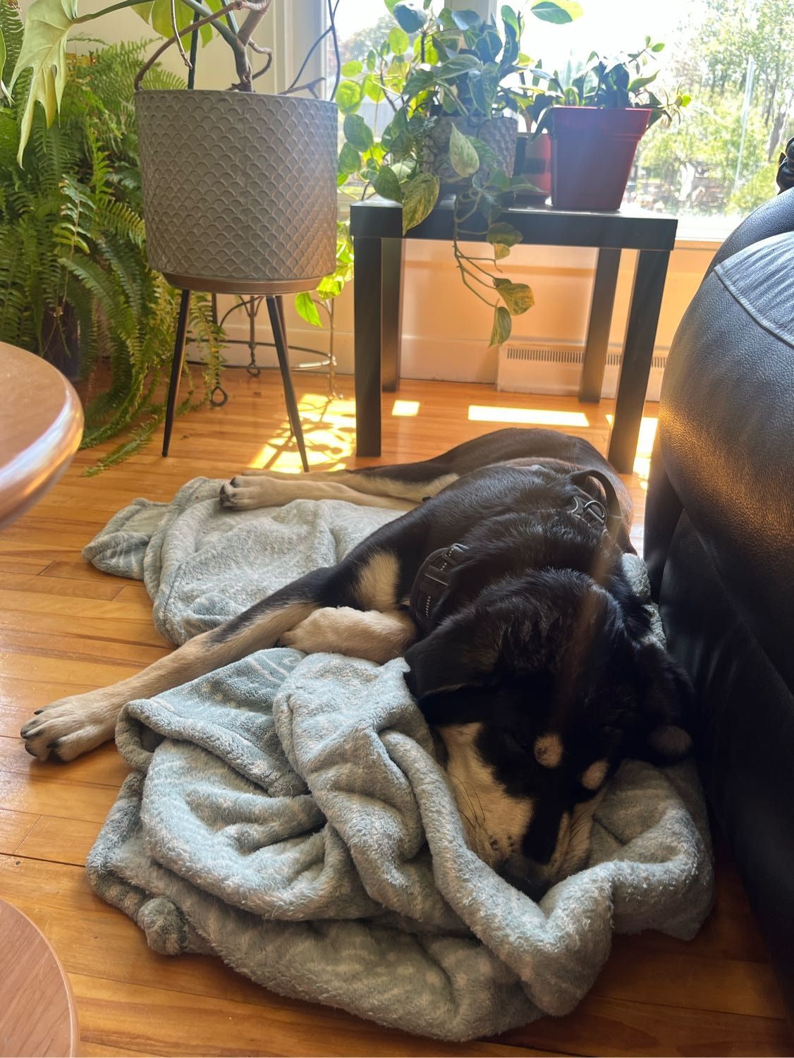 image-12