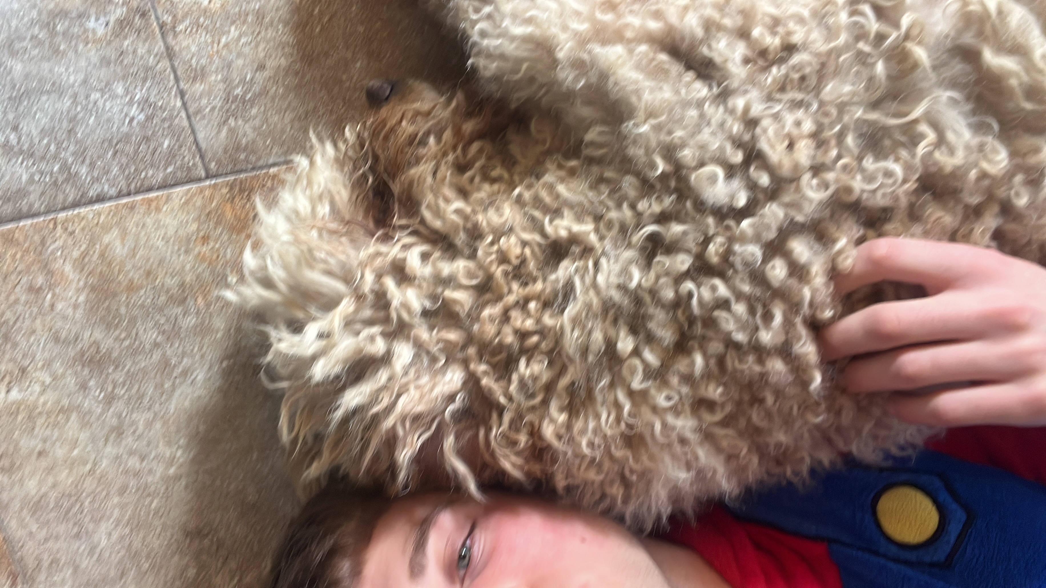 image-1