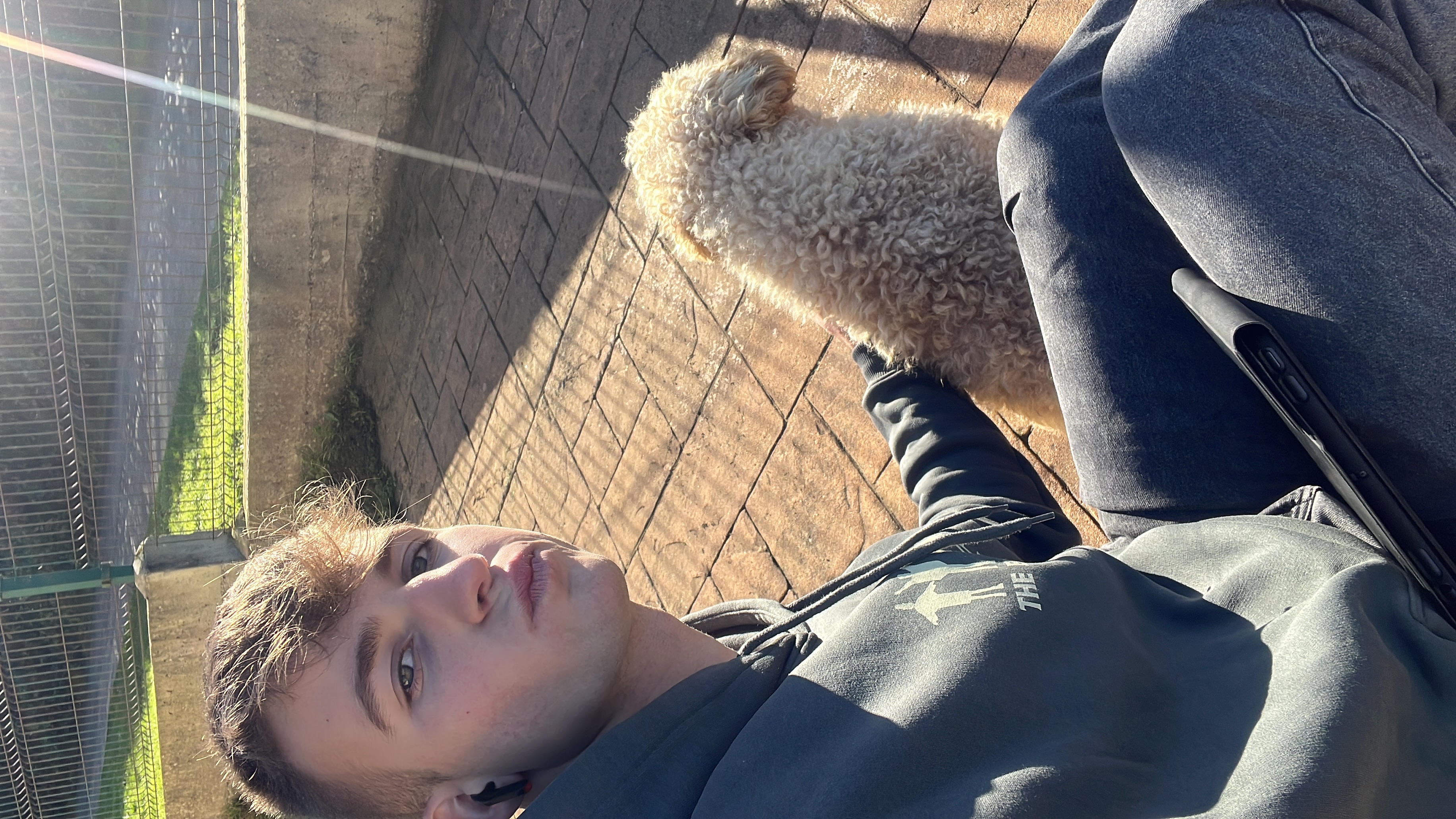 image-6
