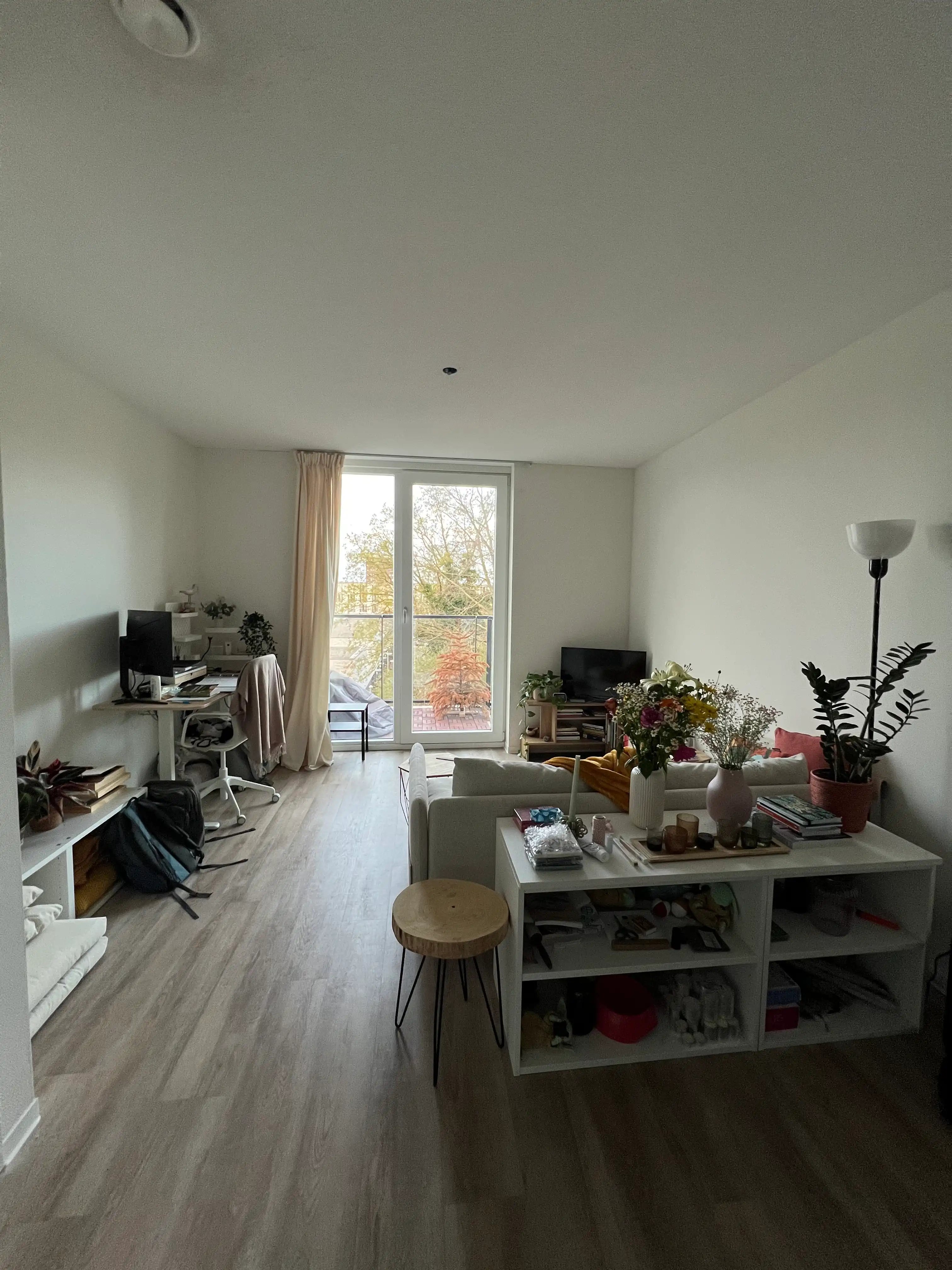 image-7
