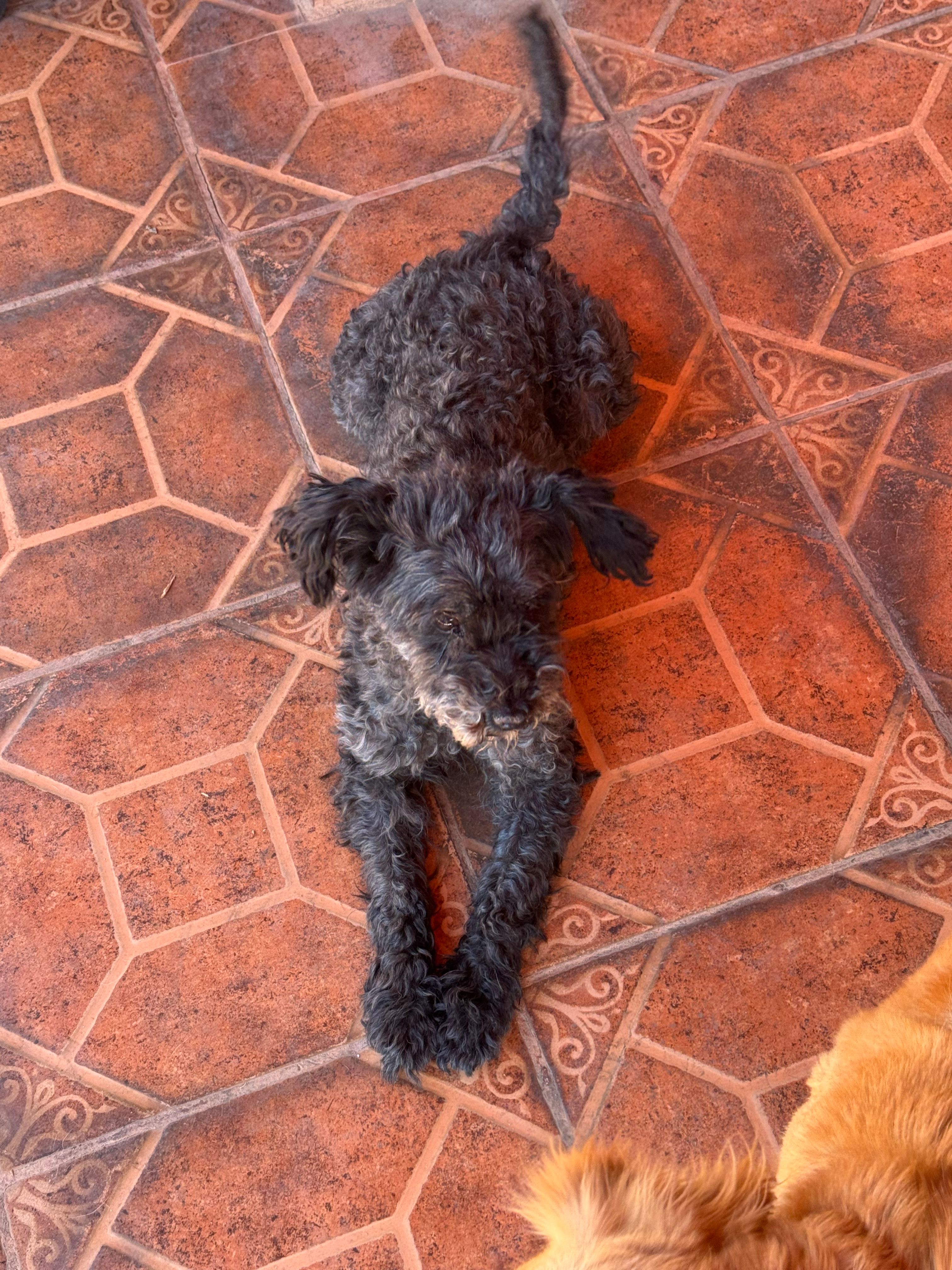 image-20