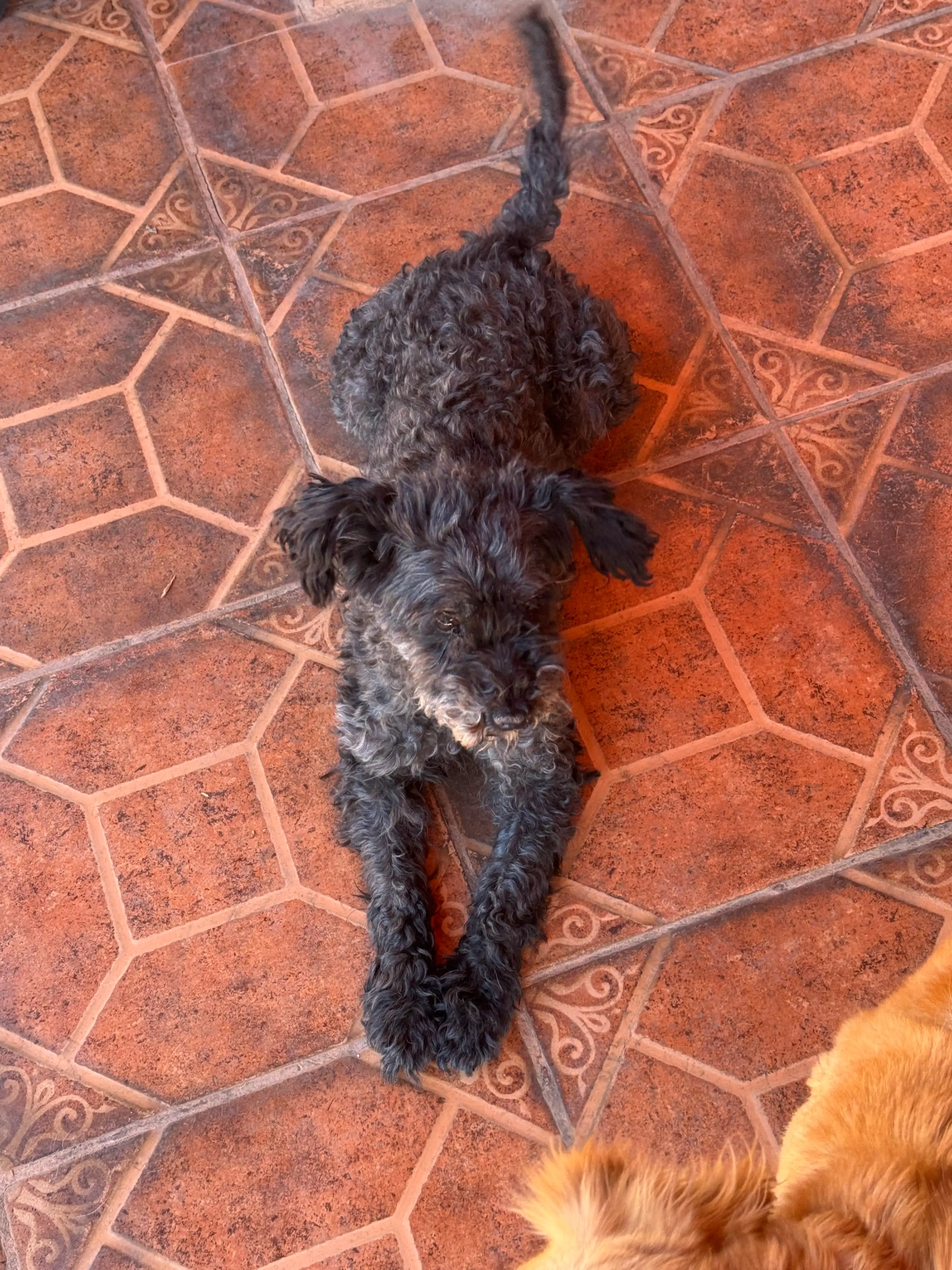 image-20