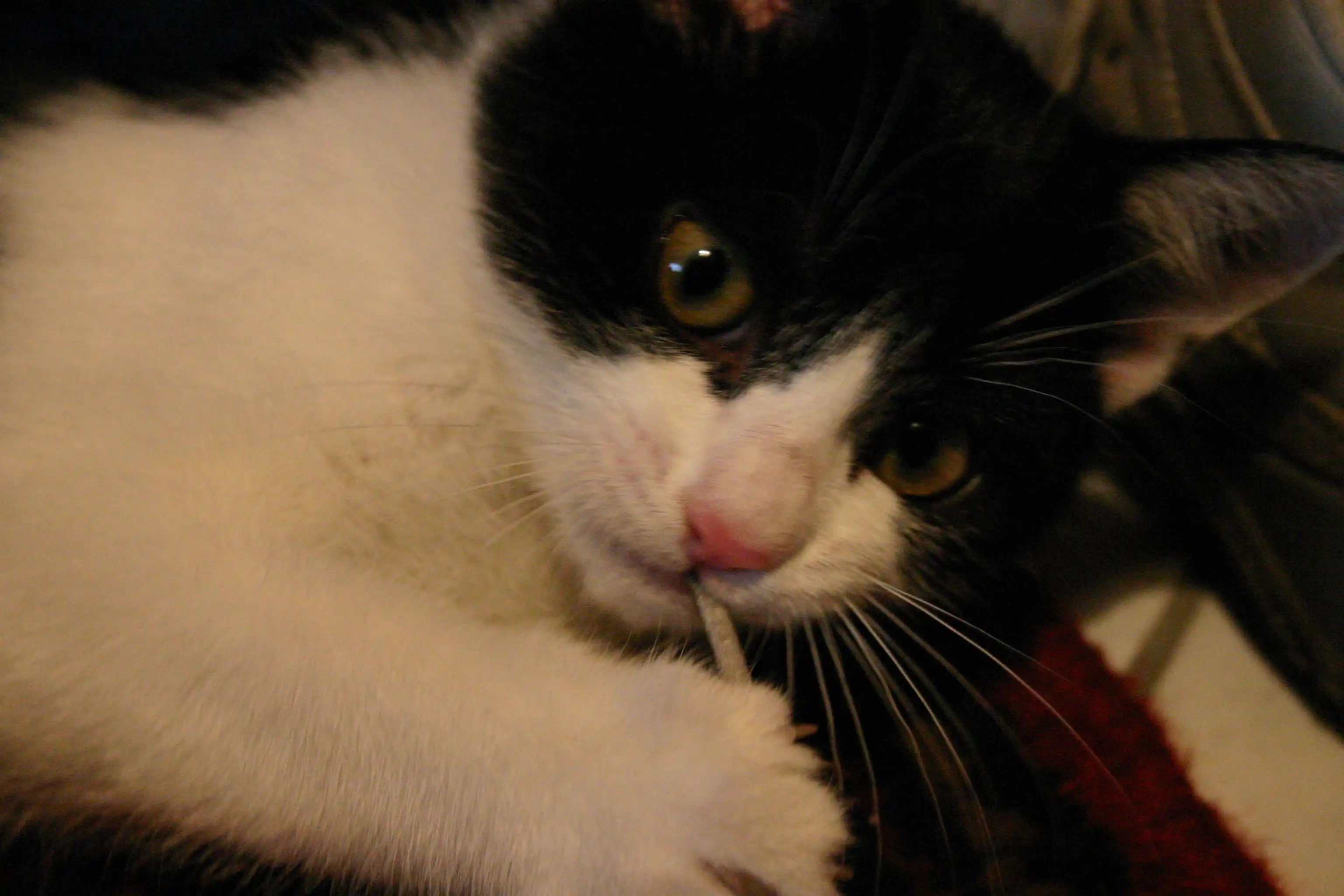 image-43
