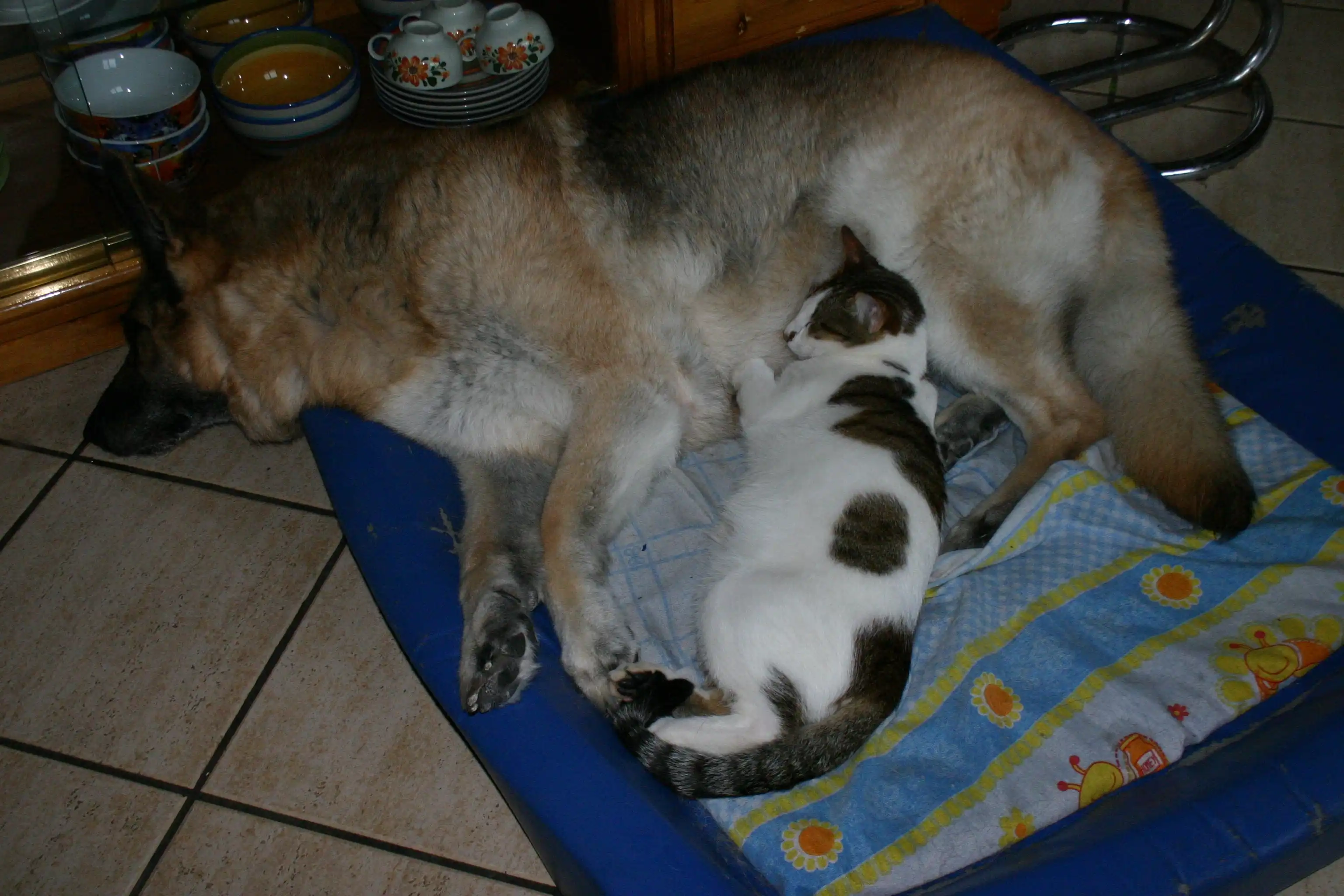 image-46