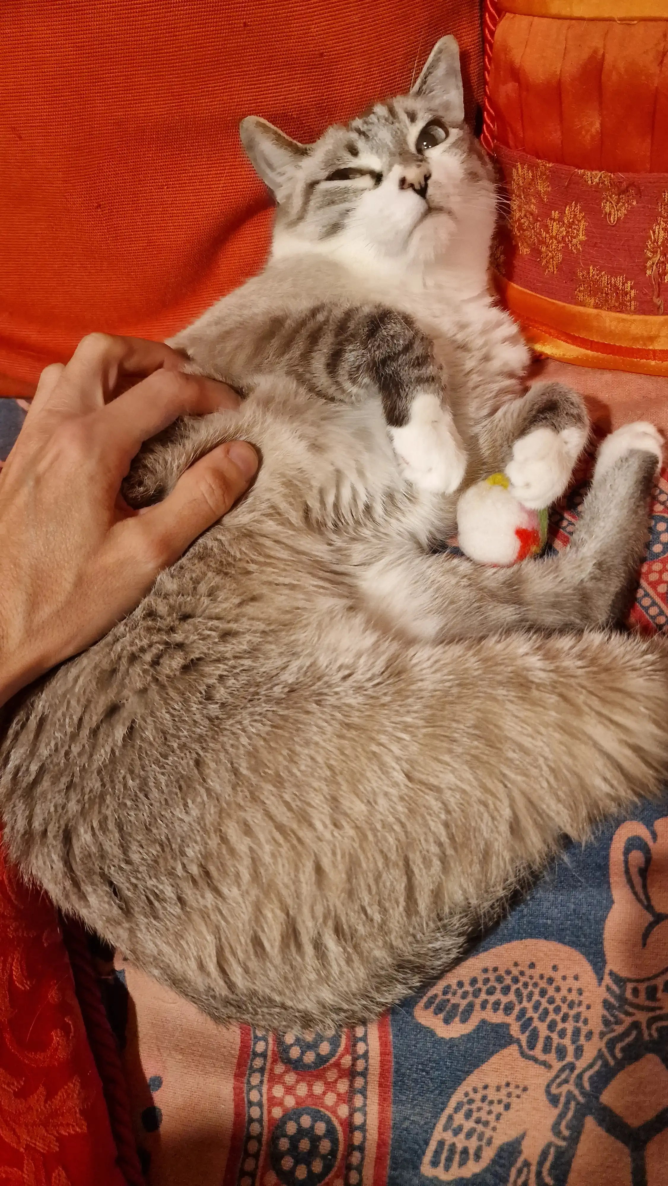 image-6