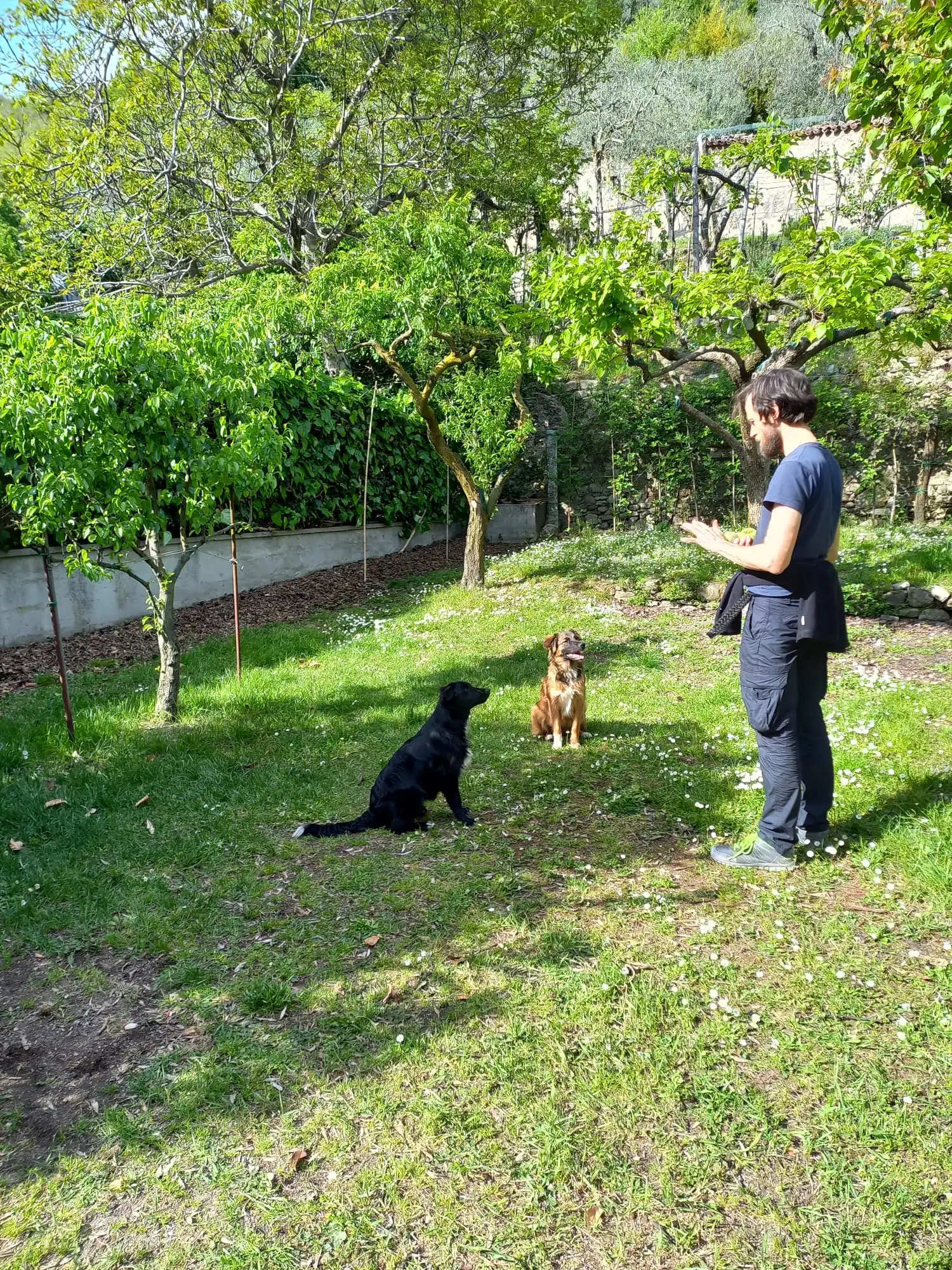 image-38