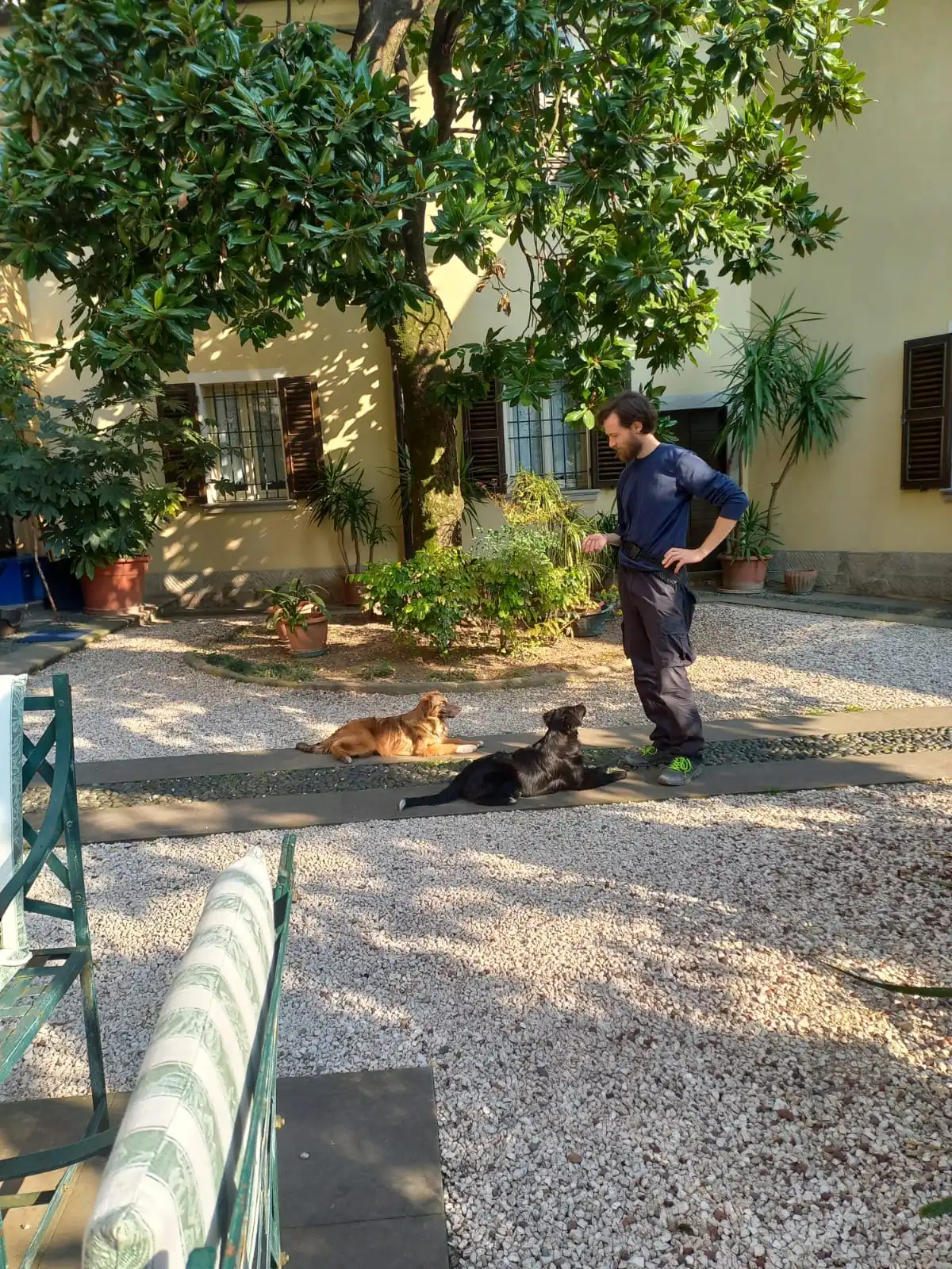 image-36