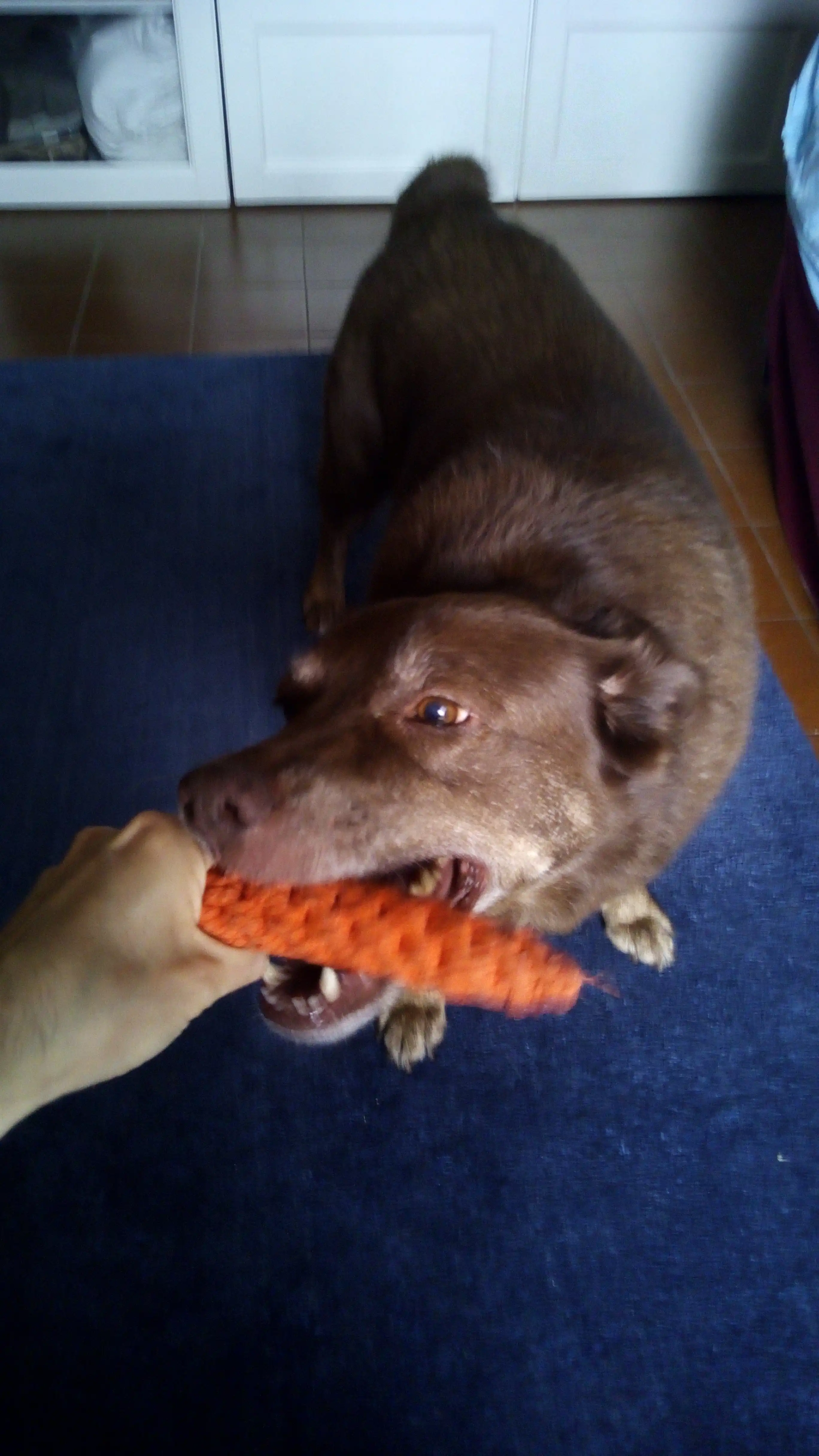 image-41