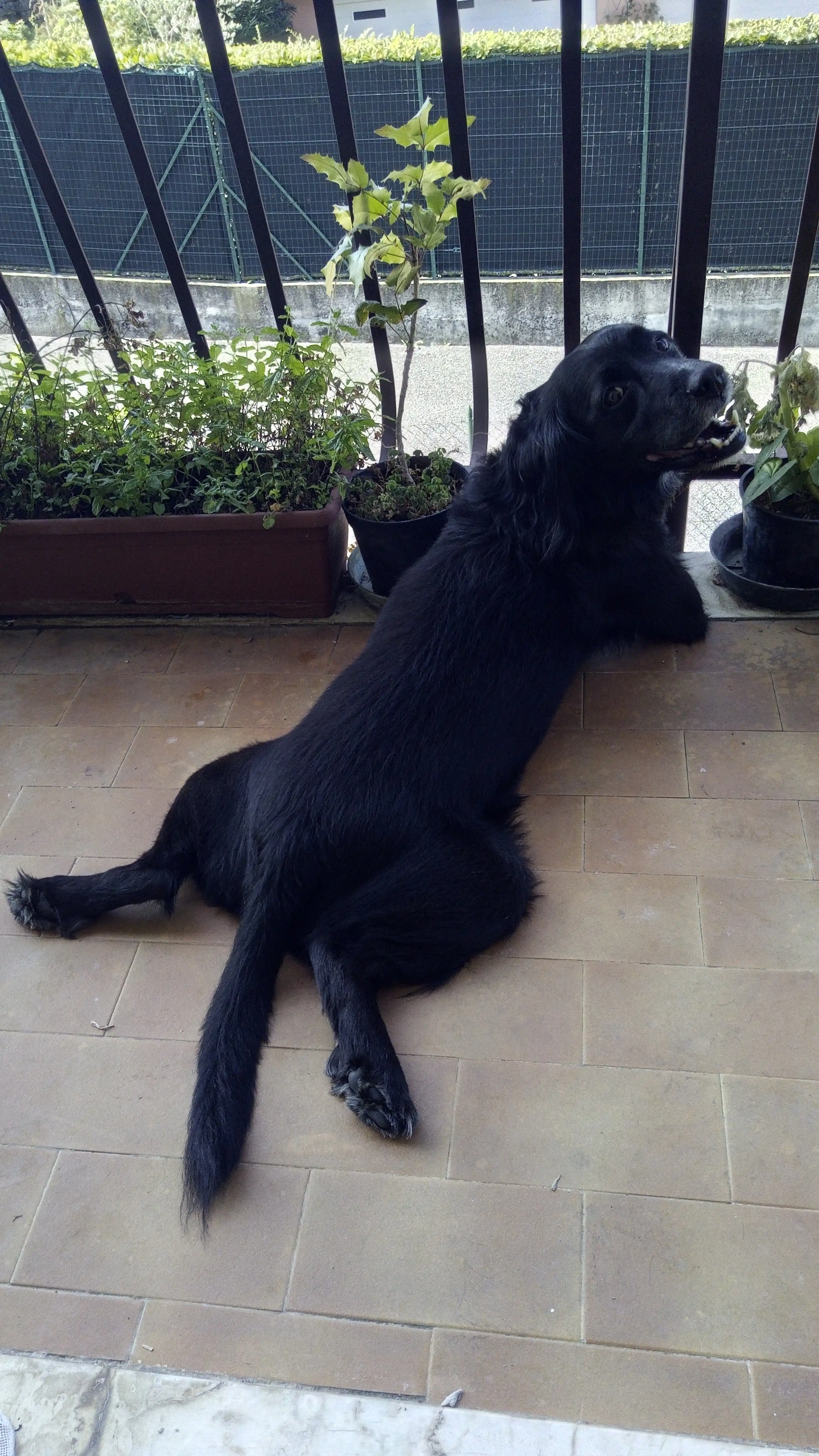 image-59