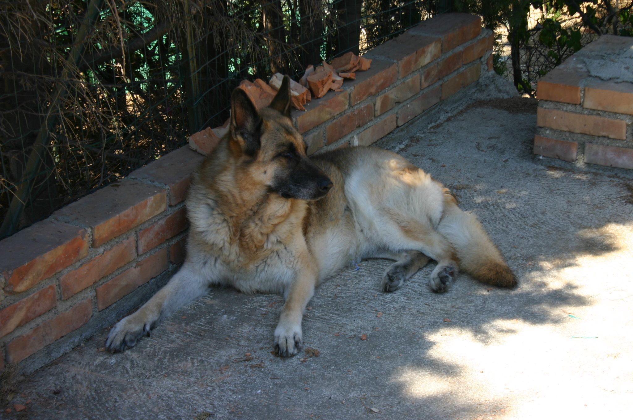 image-45