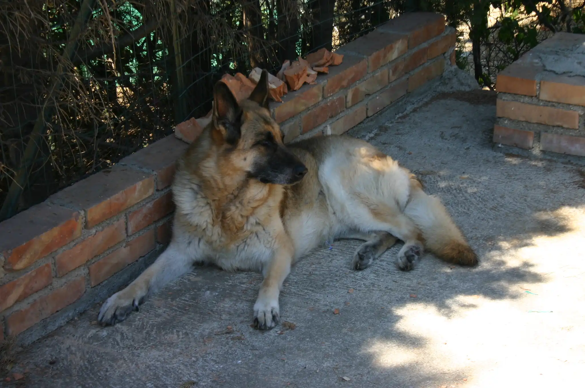 image-45