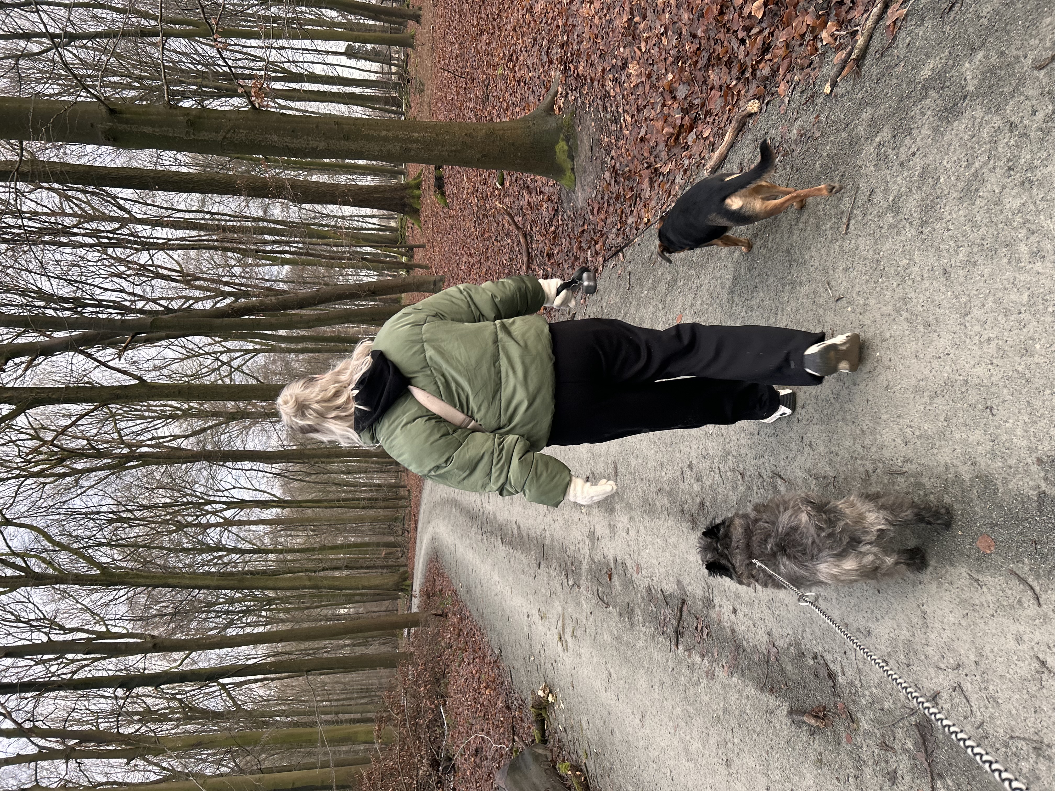 image-13