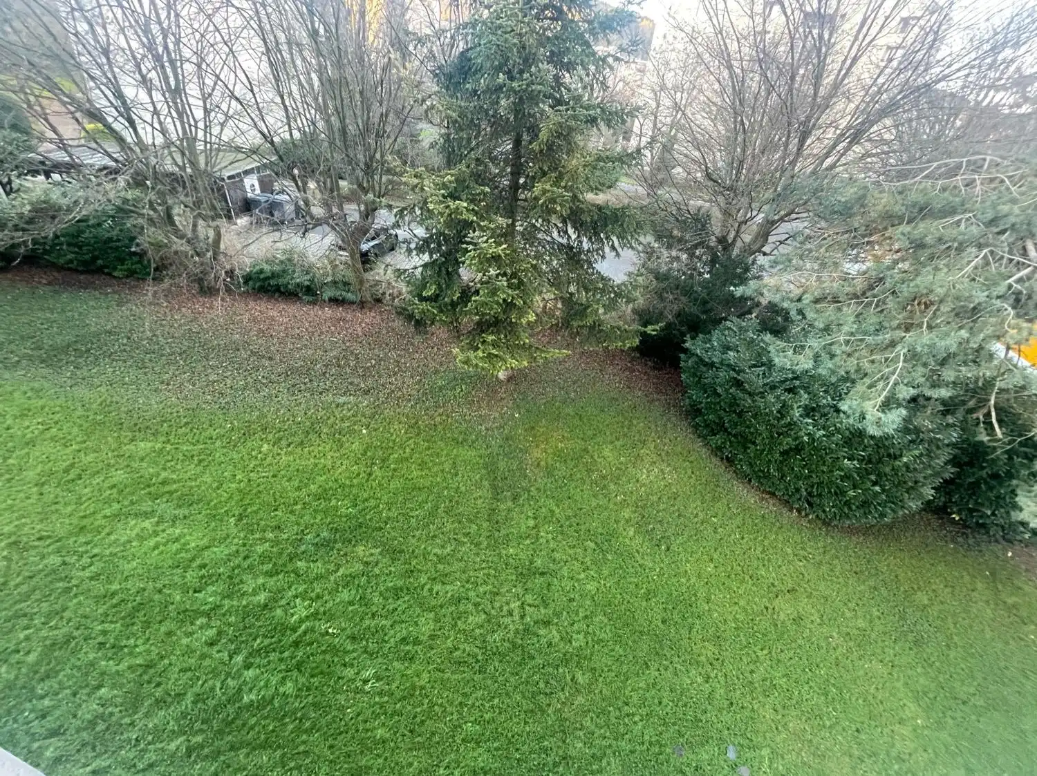 image-12