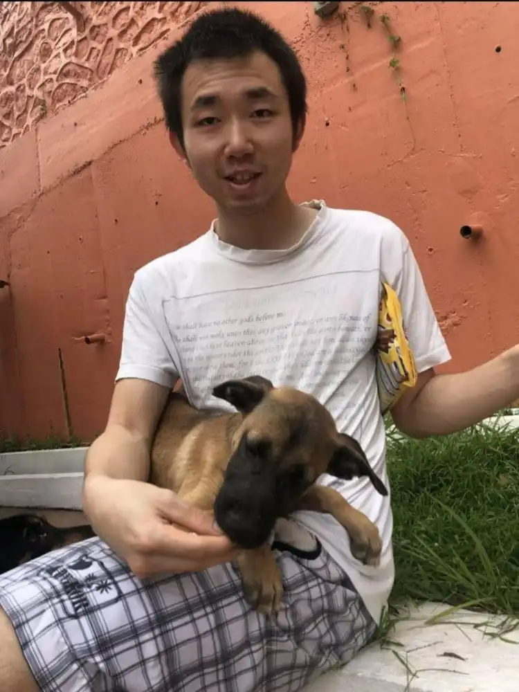 image-6