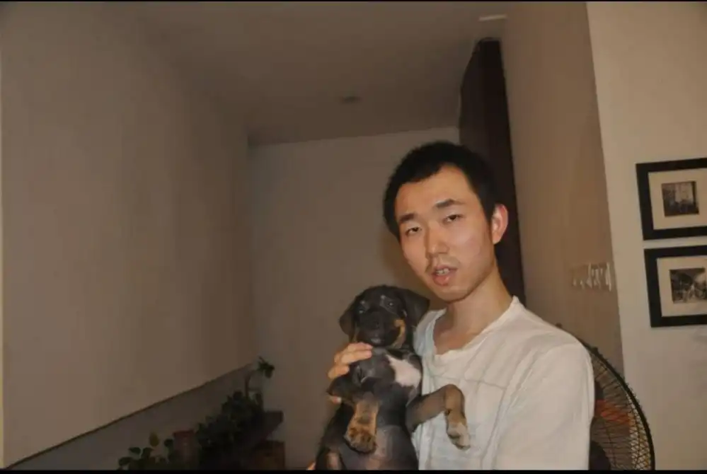 image-8