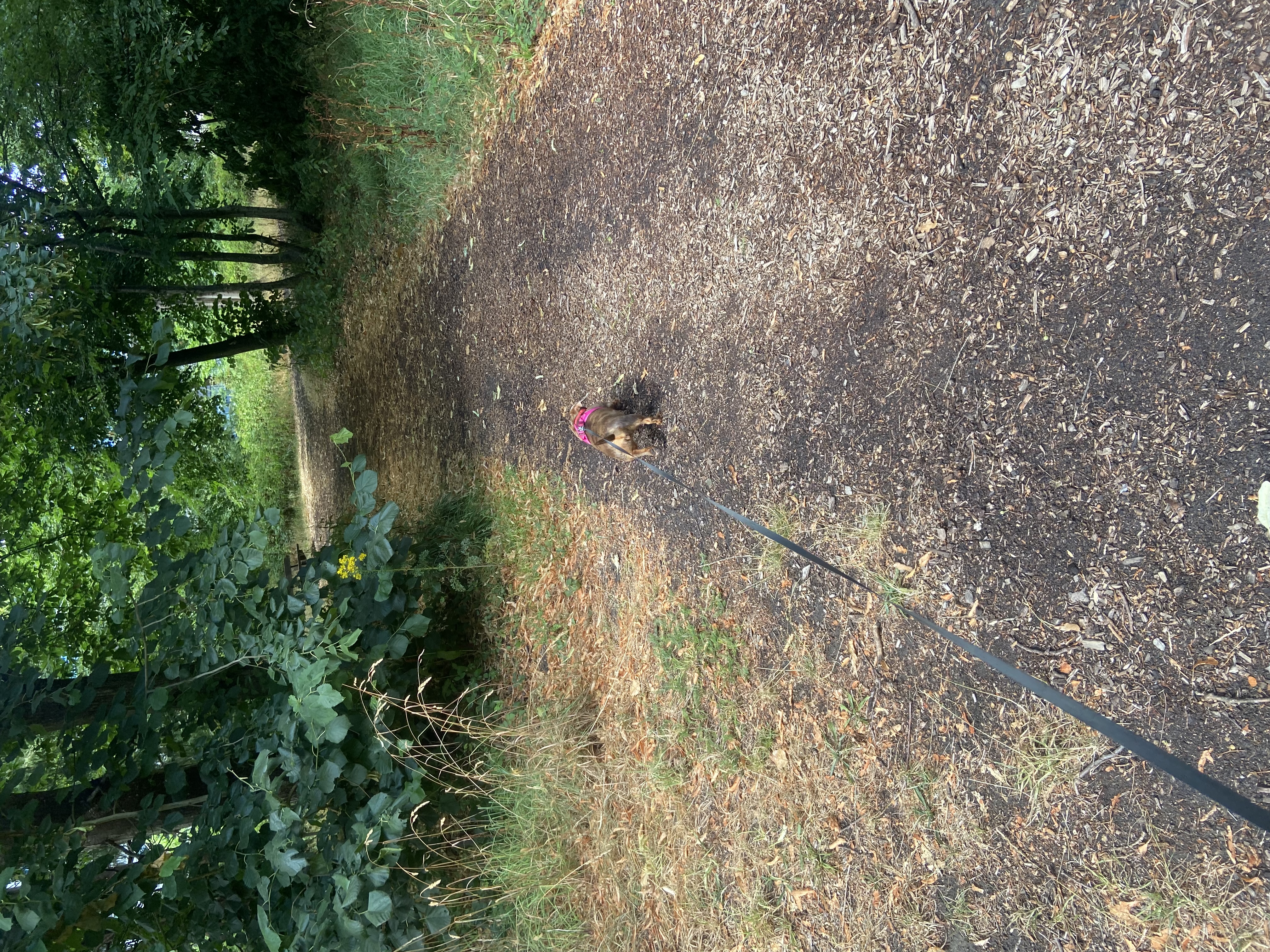 image-14